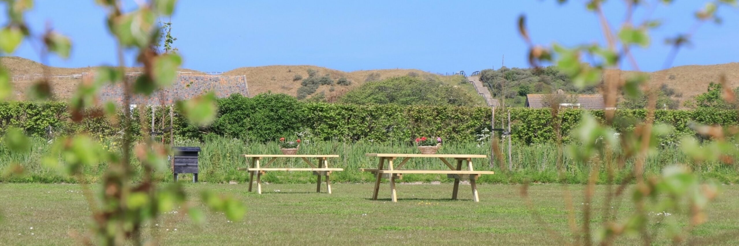 Camping Slufterhoeve boerencamping VVV Texel