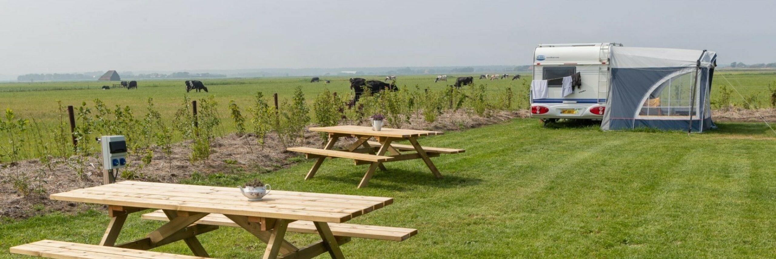Boerencamping De Tesselsekamping VVV Texel