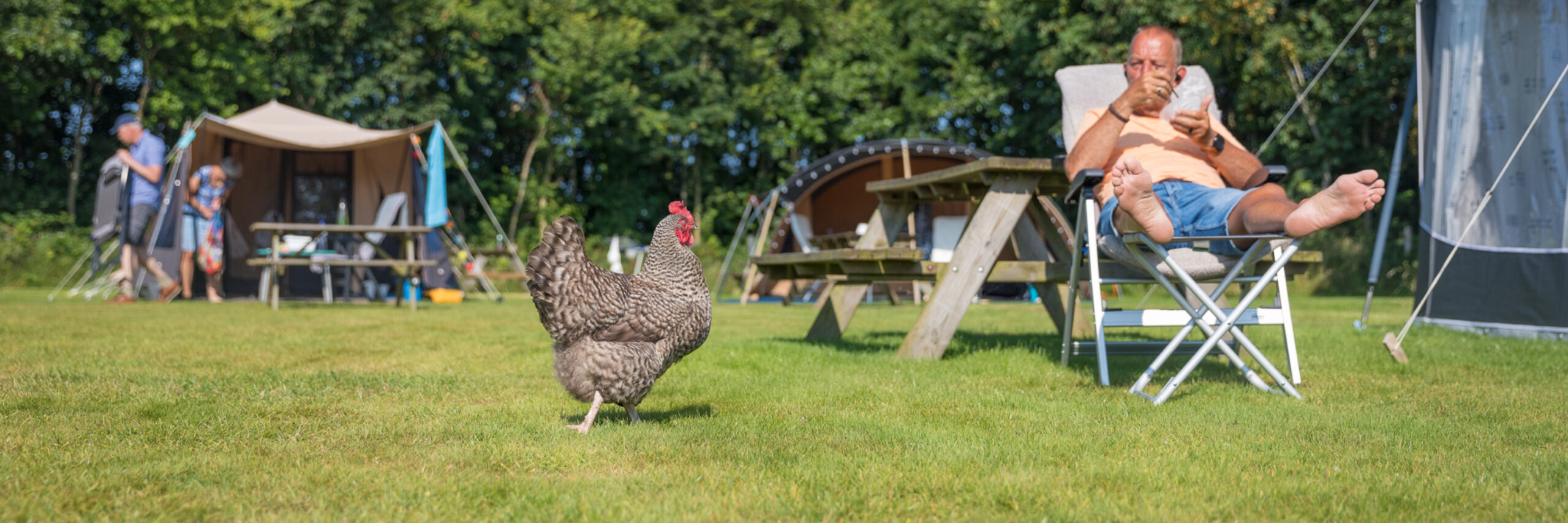 Boerderijcamping De Hoge Kamp 2
