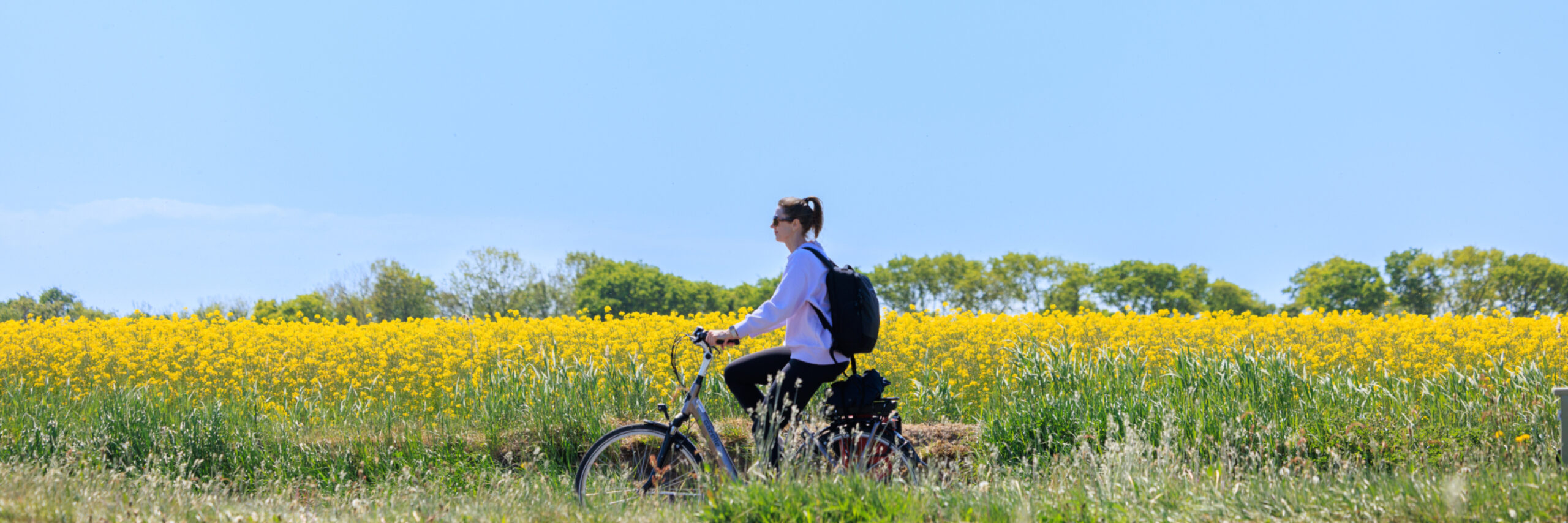 Fietsen 20250508 irisborst Texel voorjaar 165