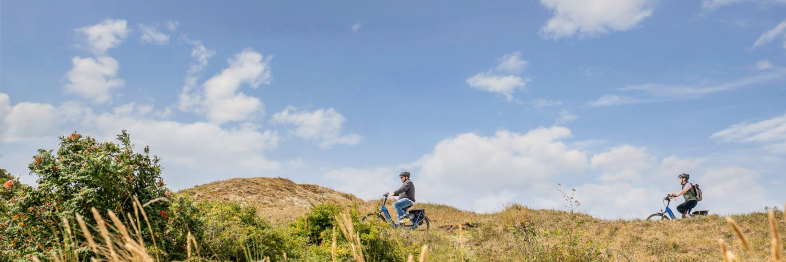 Fietsen in de duinen VVV03235 2