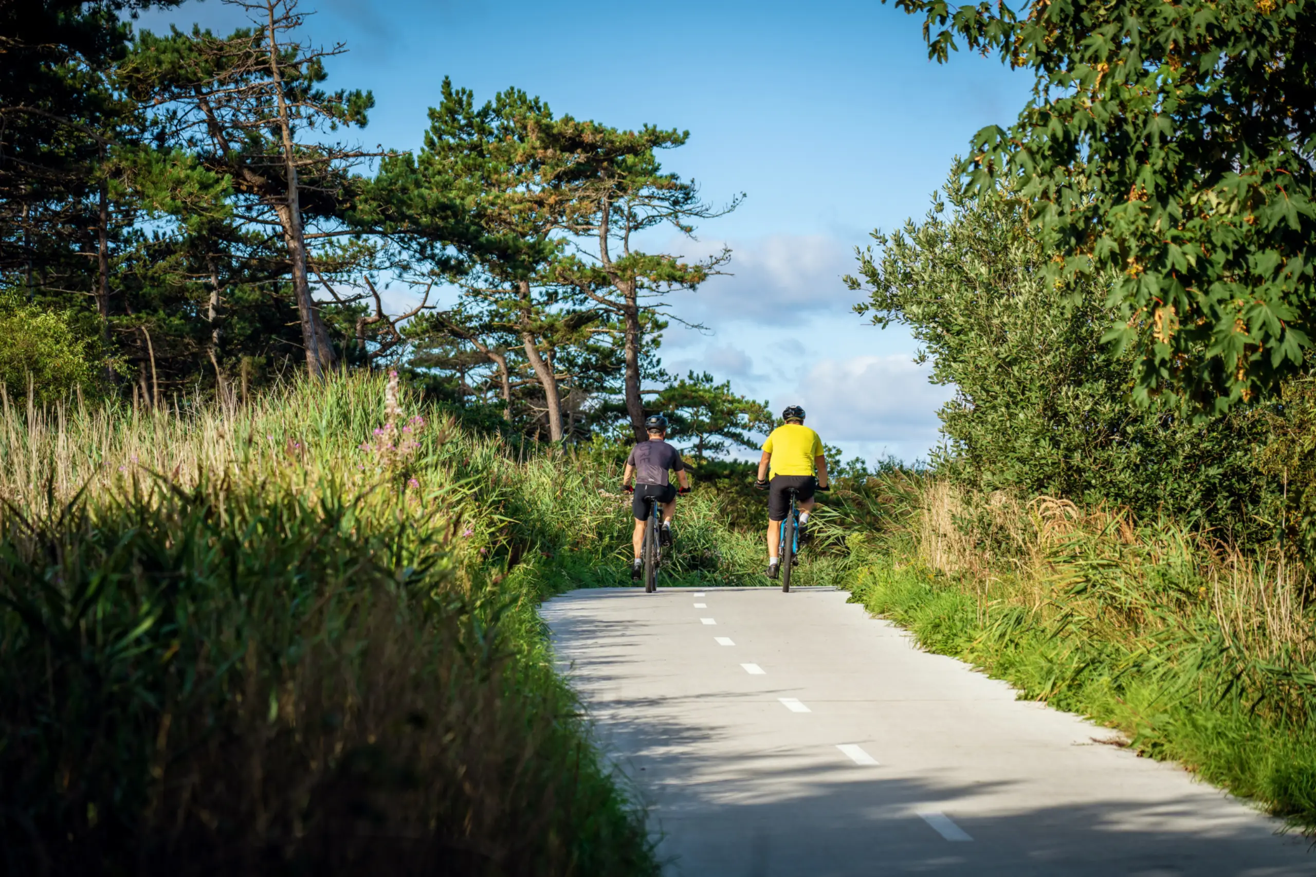 Mountainbike op het fietspad in De Dennen