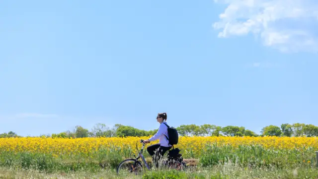 Fietsen langs het veld