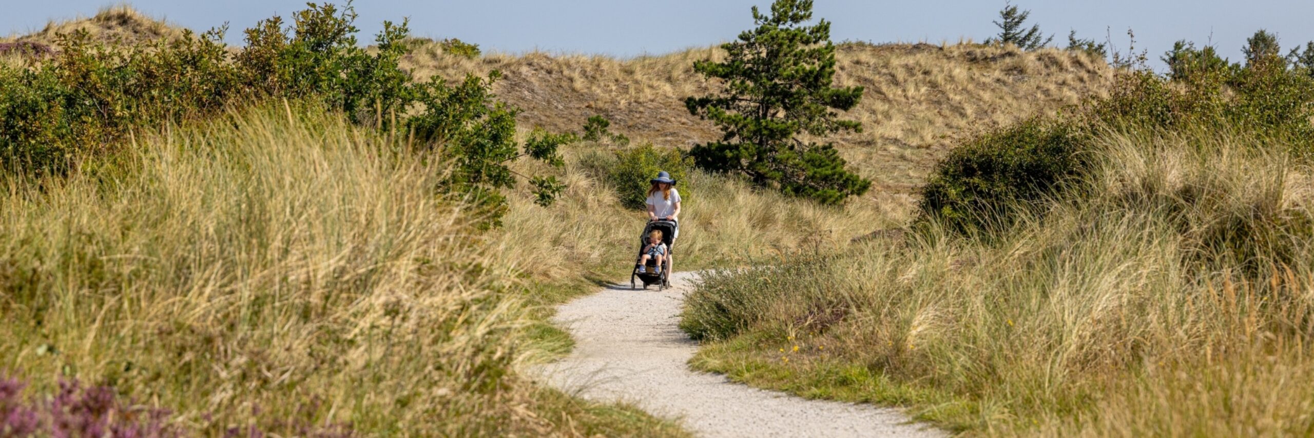 Wandelen Seetingsnollen