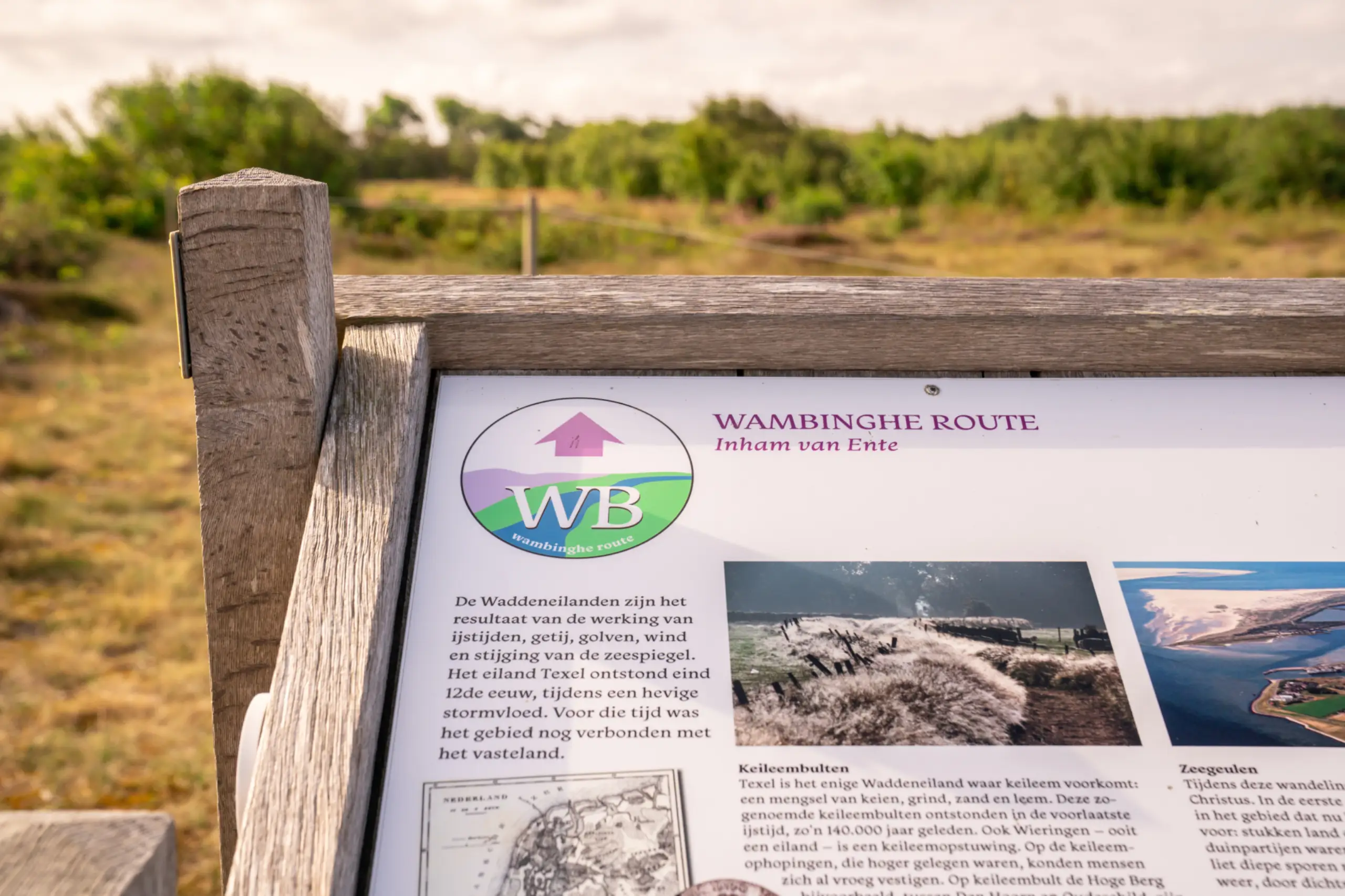 Wandelroute Wambinghe Den Hoorn
