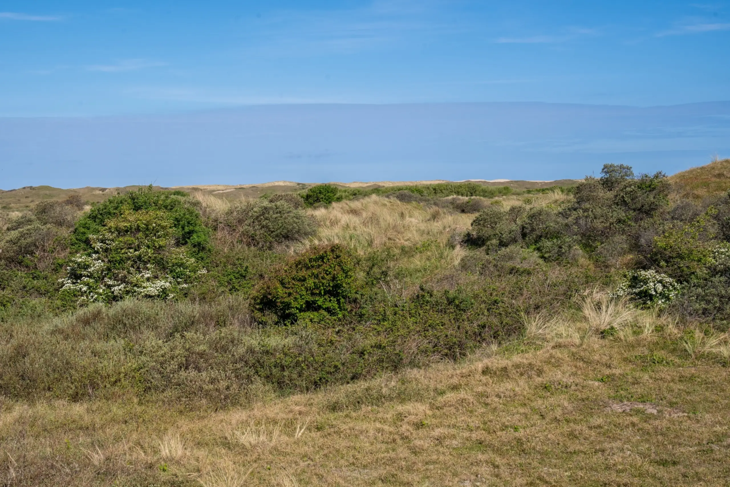 Rolstoelroute Krimbos - uitzicht richting de duinen