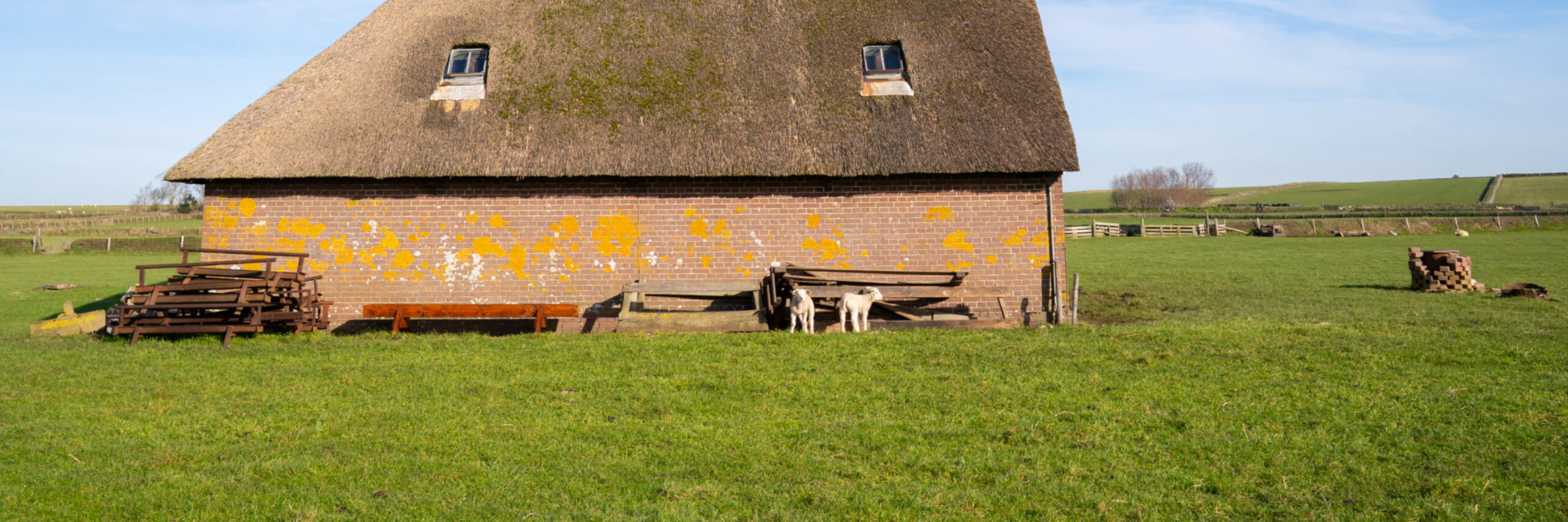 Wandelroute Lammetjes