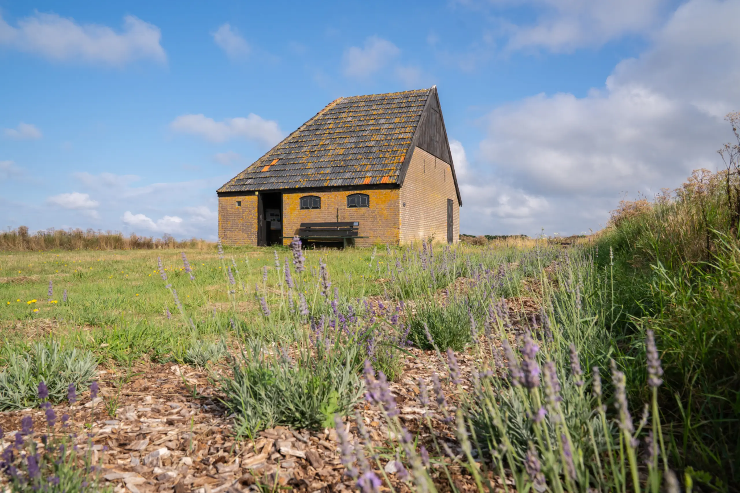 Schapenboet bij Den Hoorn