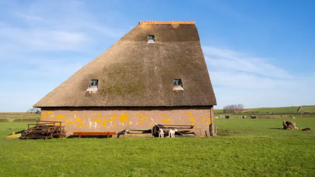 Wandelroute Lammetjes