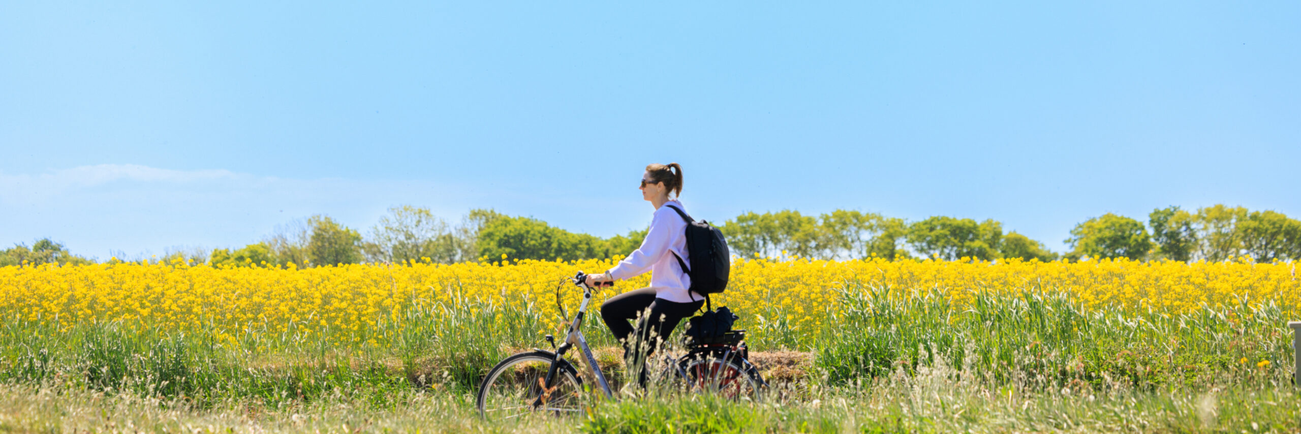 Fietsen in het voorjaar