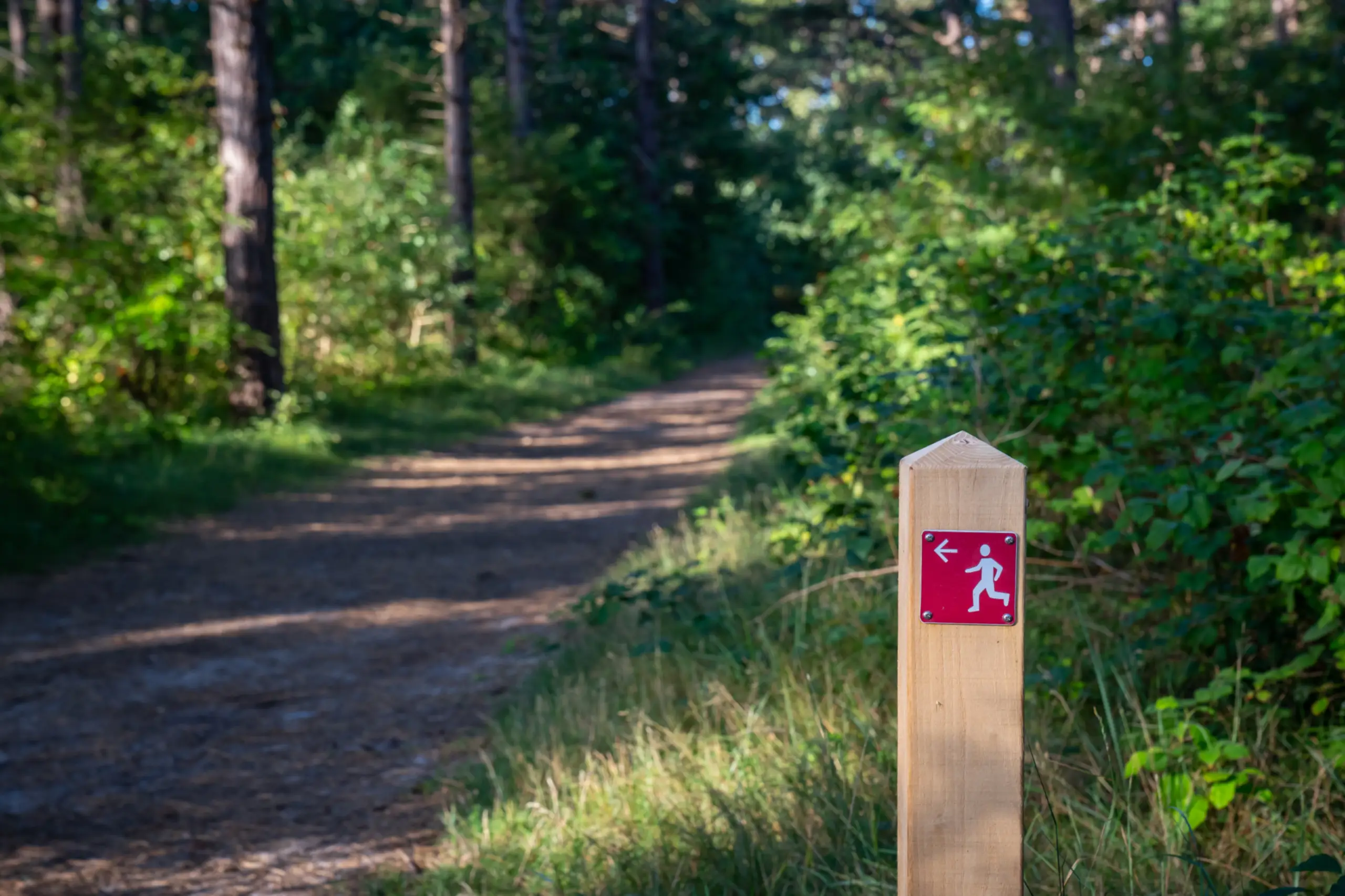 Trimparcours in De Dennen