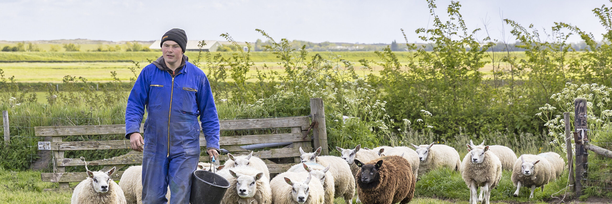 Gebiedscooperatie De Hoge Berg heeft het eerste stukje land aangekocht op de Hoge Berg