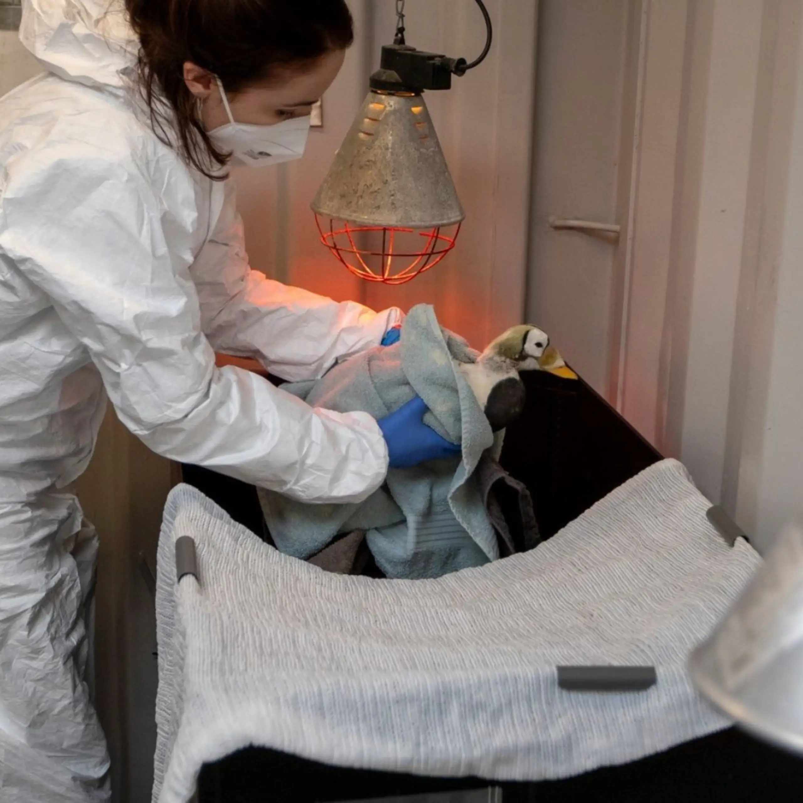 De brileider bij Ecomare