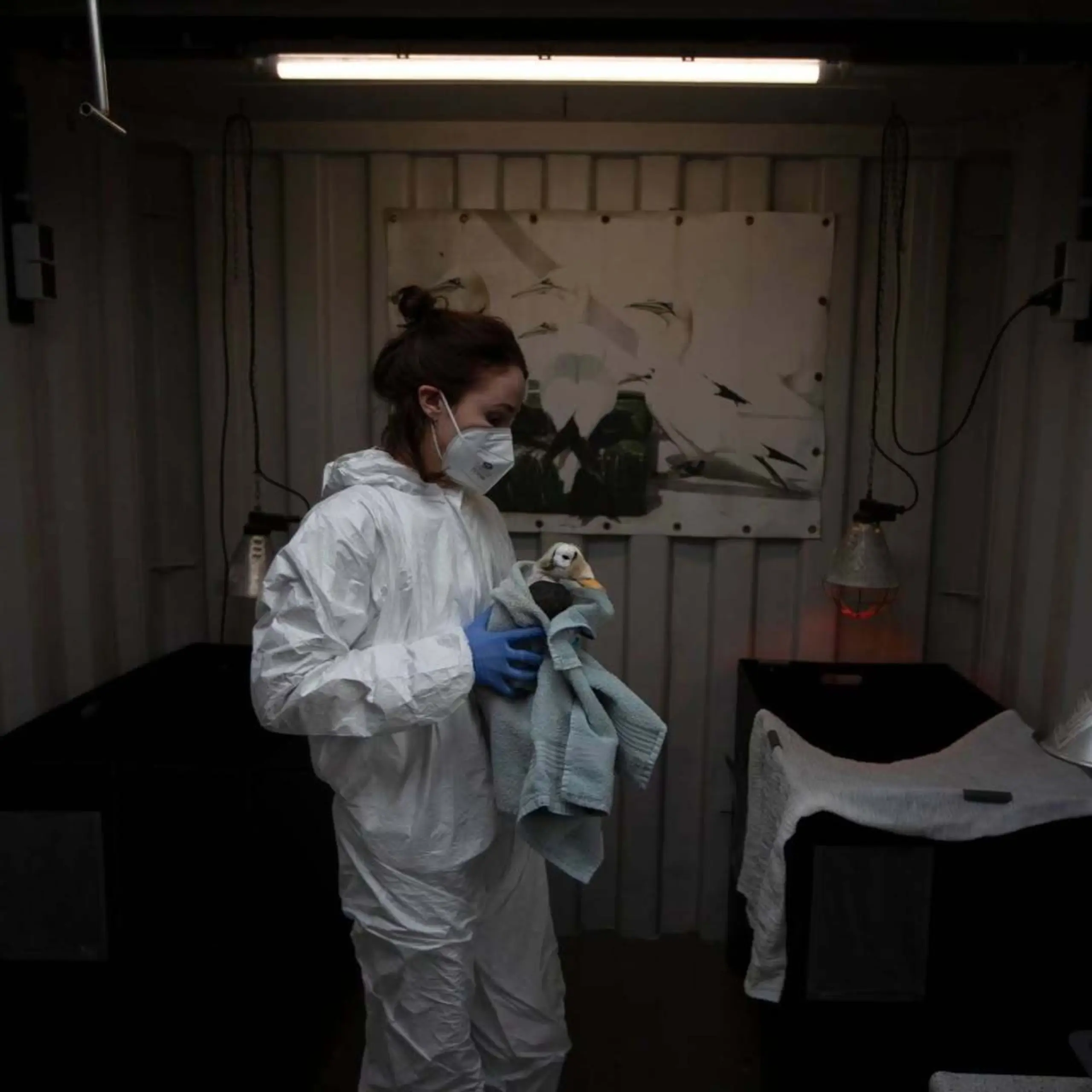 De brileider bij Ecomare