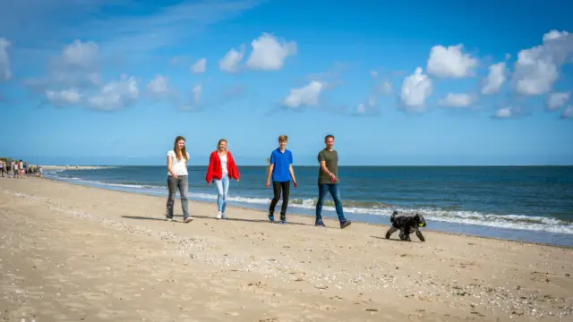 Familie und Hund am Strand
