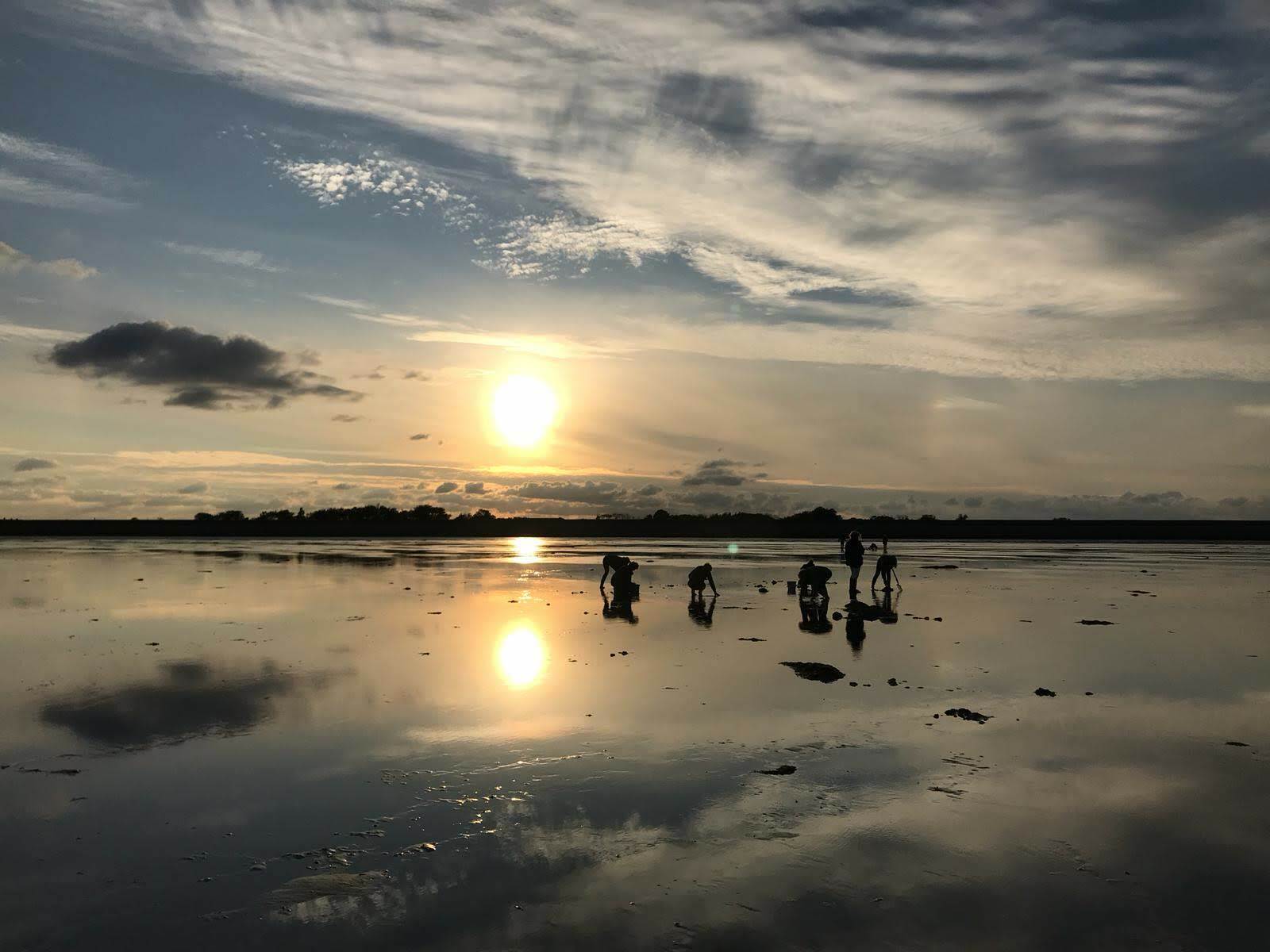Wadlopen Op Texel VVV Texel Wadlopen Op Texel VVV Texel