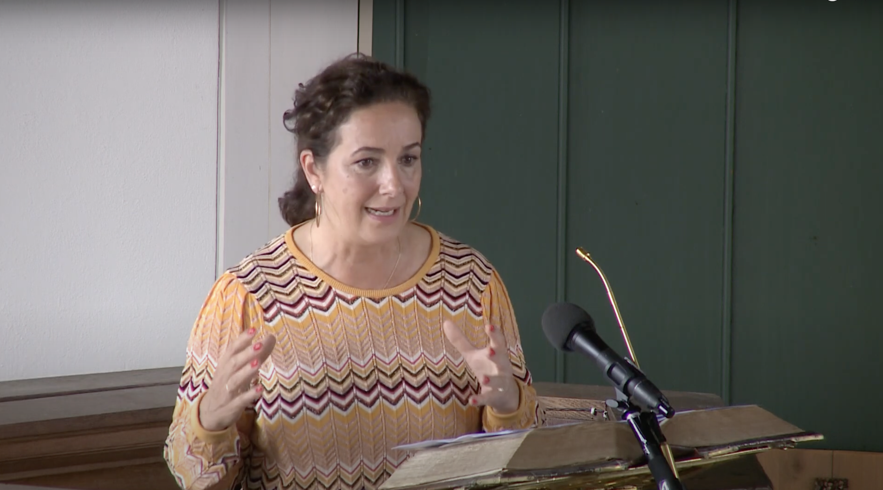 Femke Halsema Rede van Texel