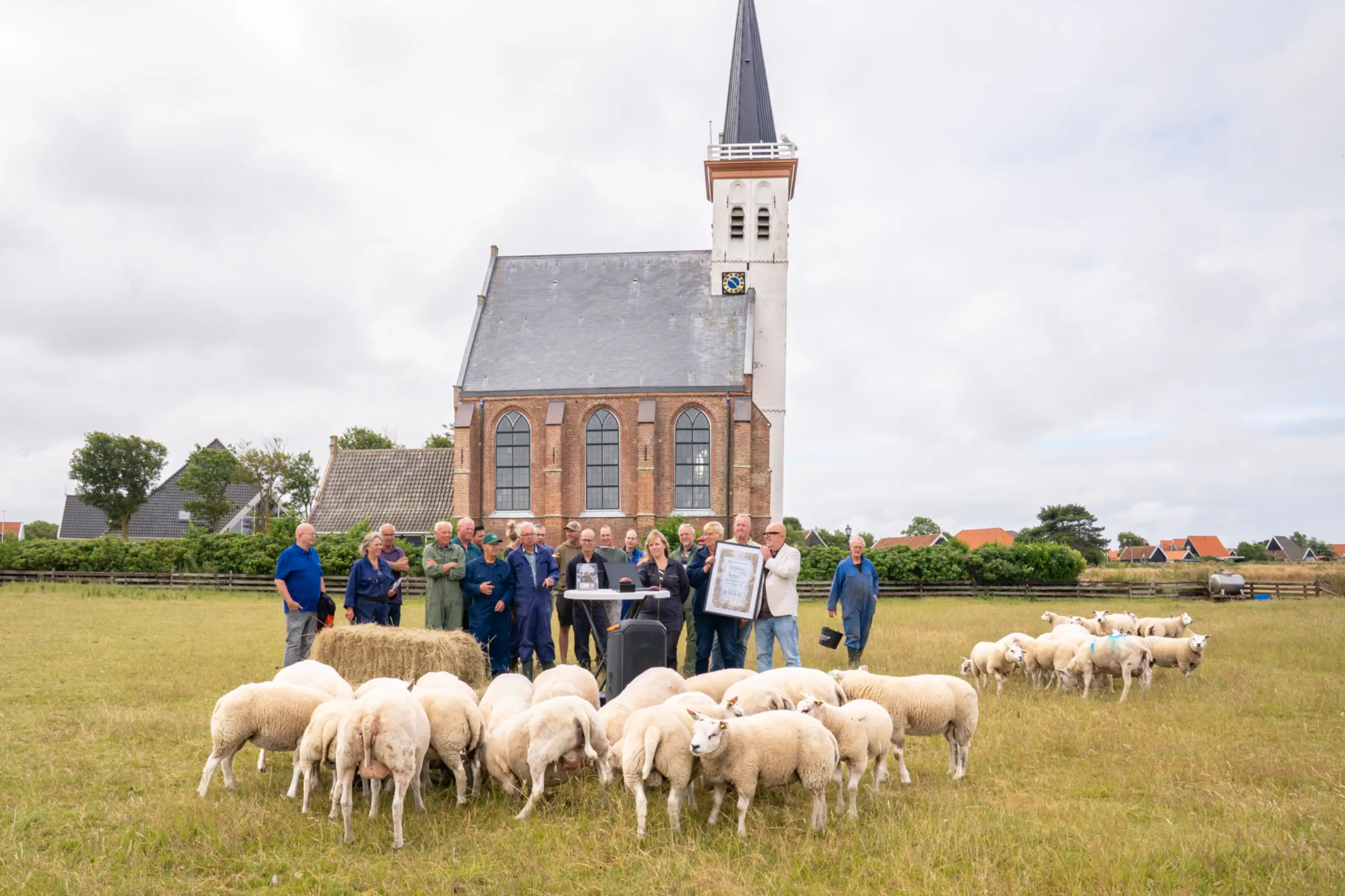 Start actie Steun Onze Schapen