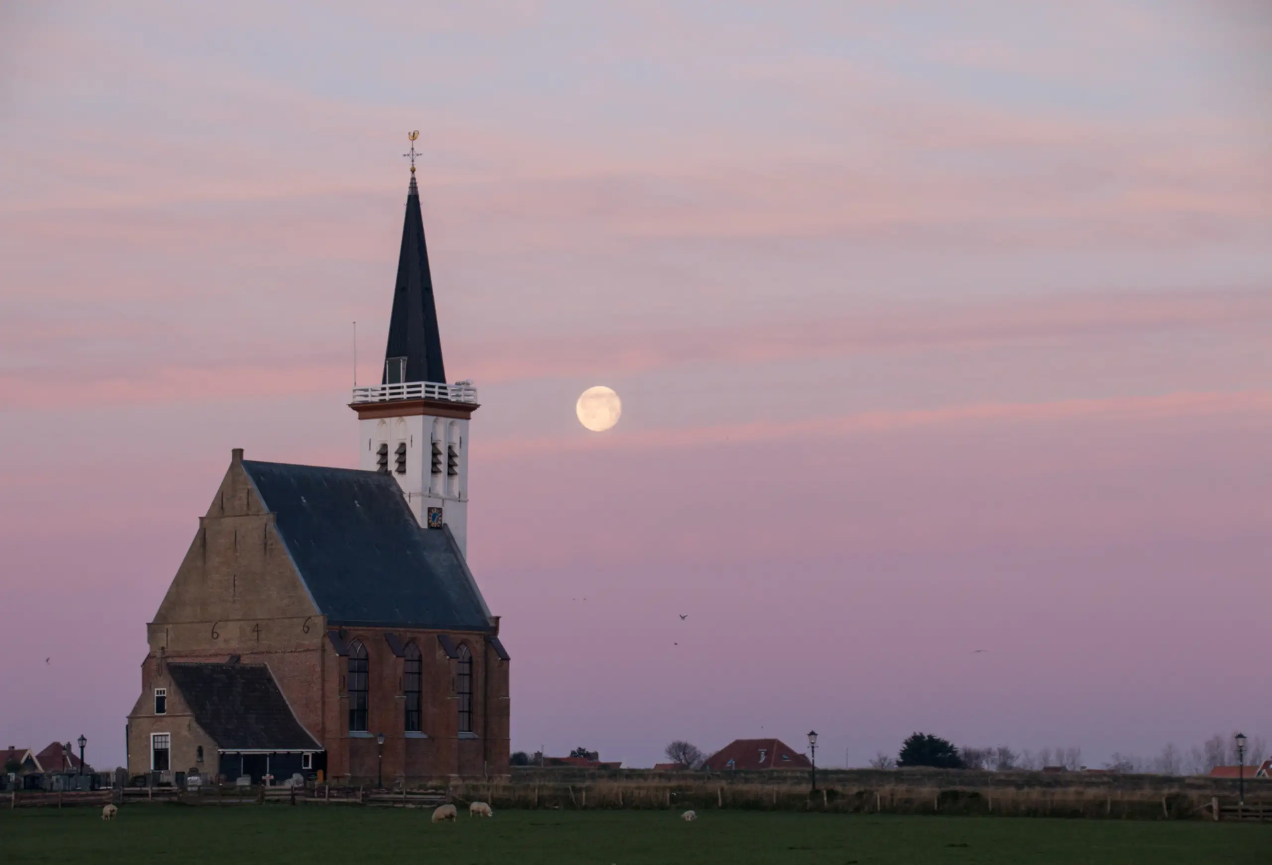 De winnende foto van Janet Brouwer