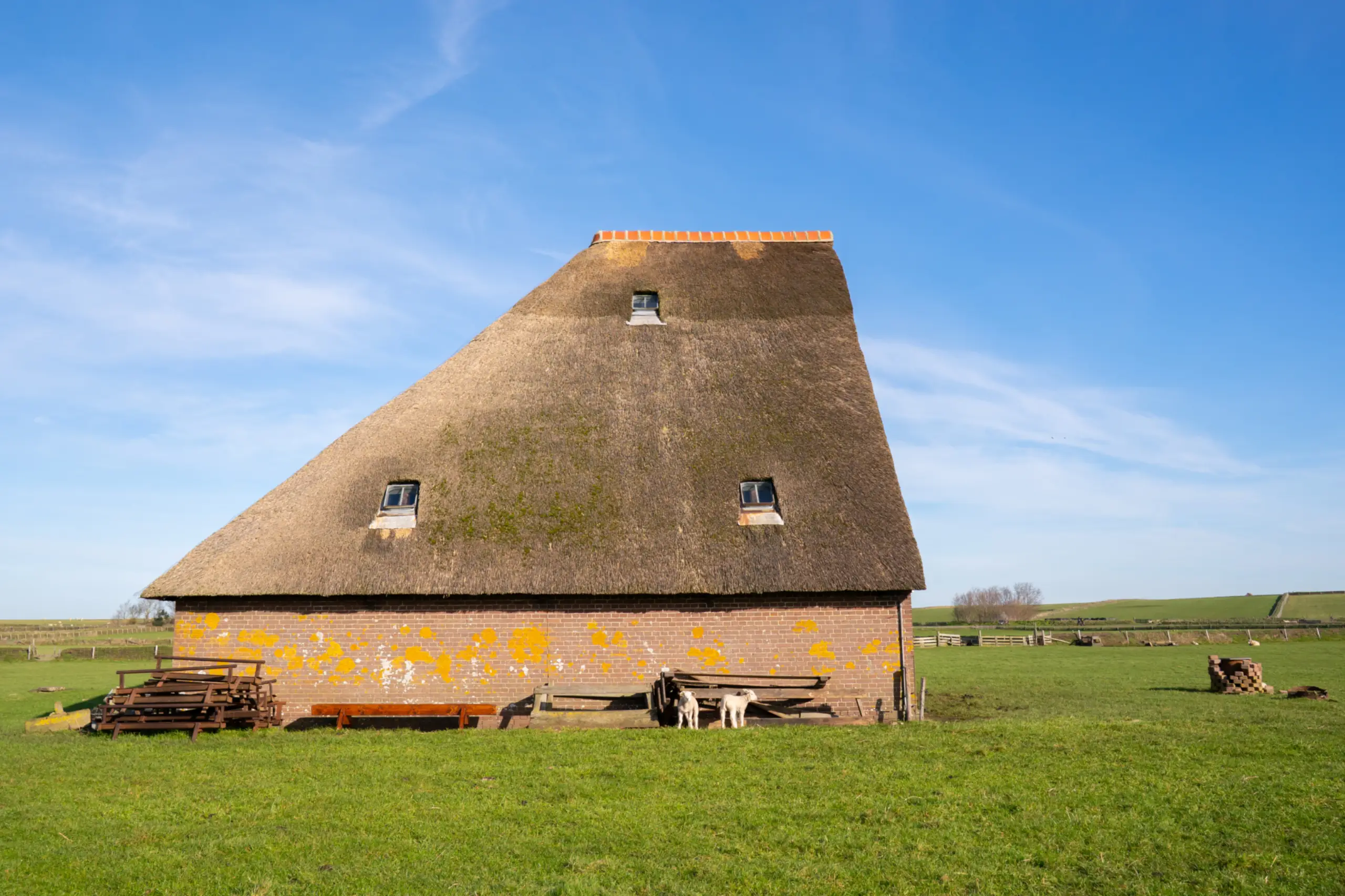 Schapenboet op De Hoge Berg
