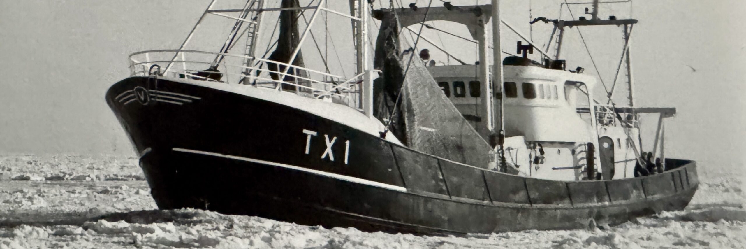 TX 1 Cornelia - bouwjaar: 1974