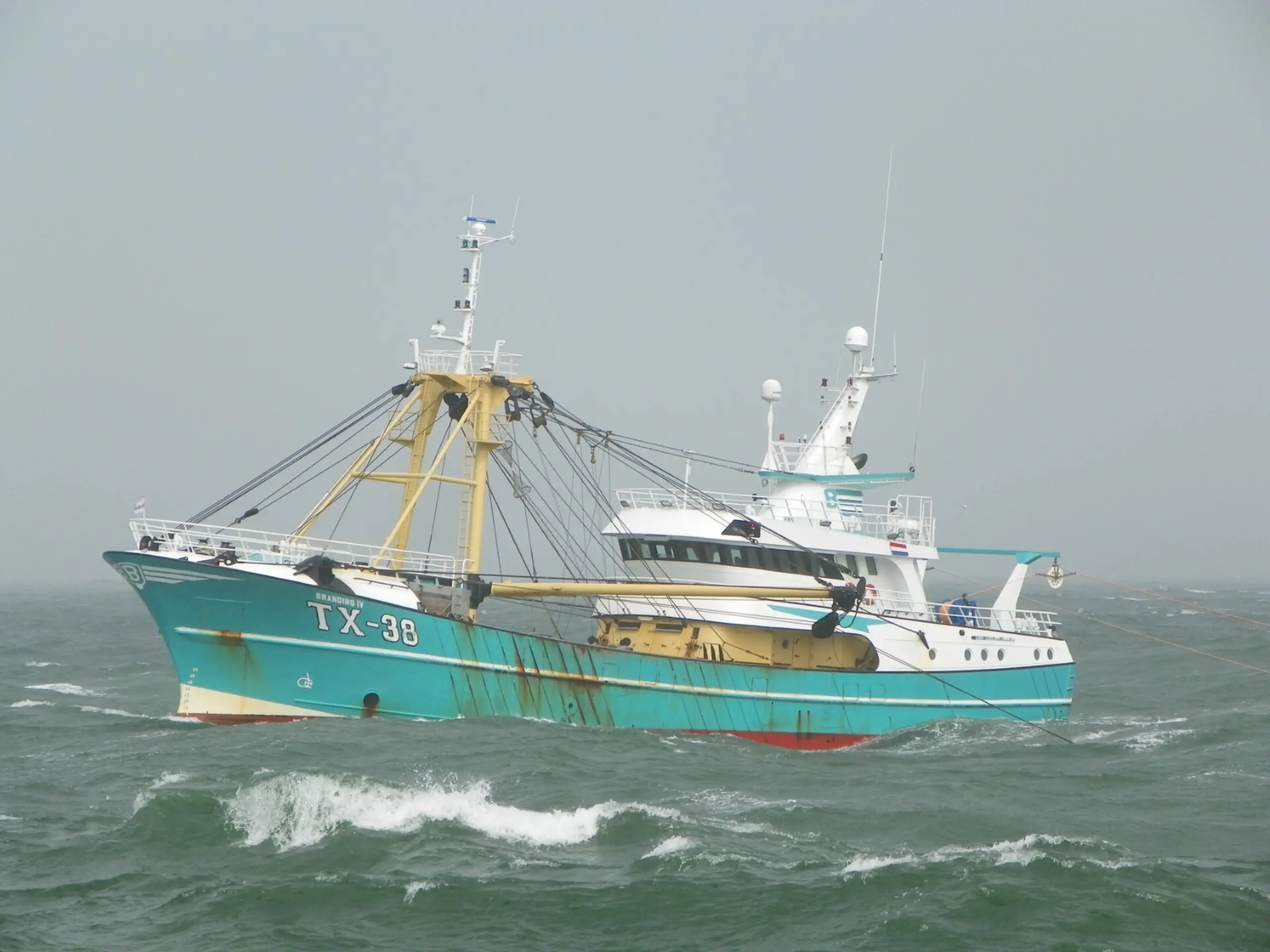 TX 38 Branding IV - bouwjaar: 1999