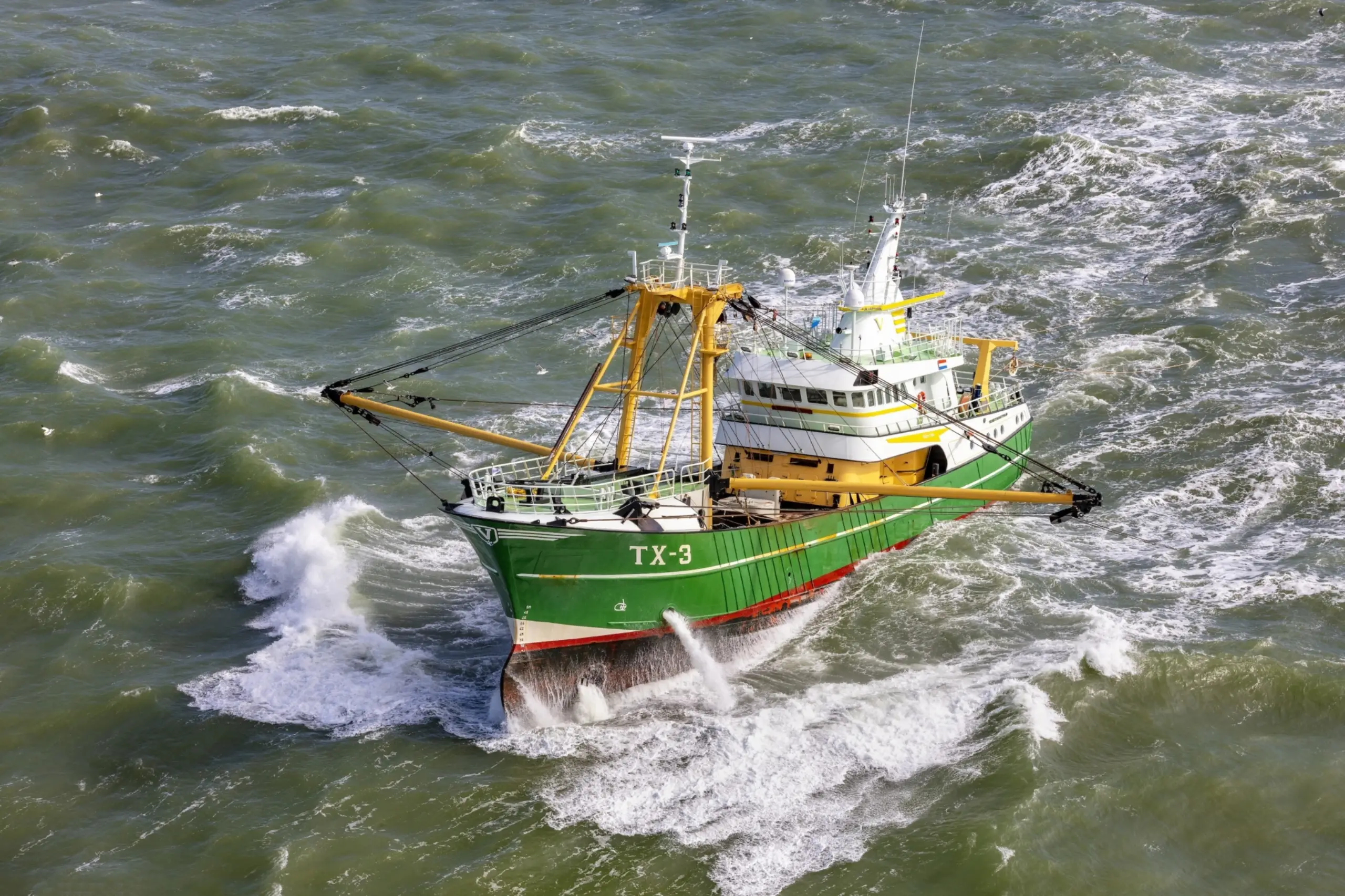 TX 3 Biem-Jan - bouwjaar: 1999