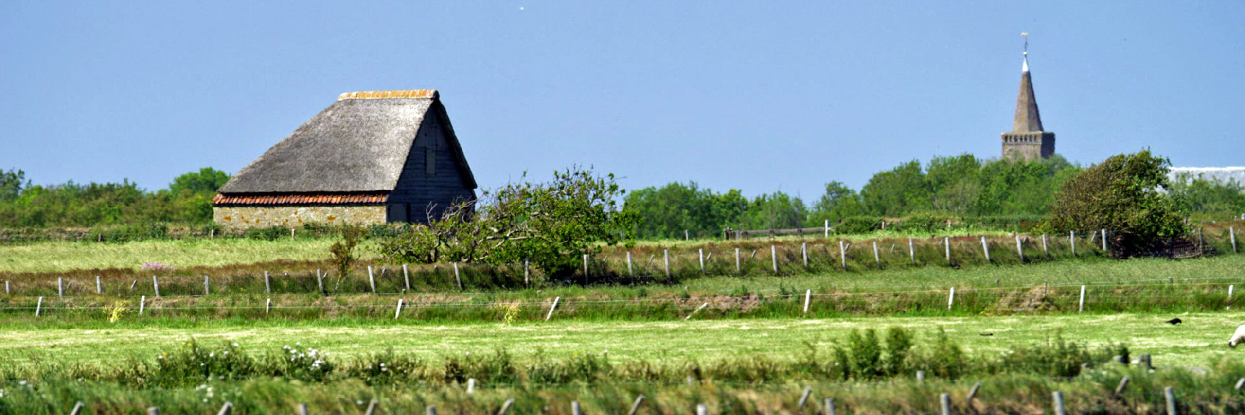 Tuunwallen op De Hoge Berg