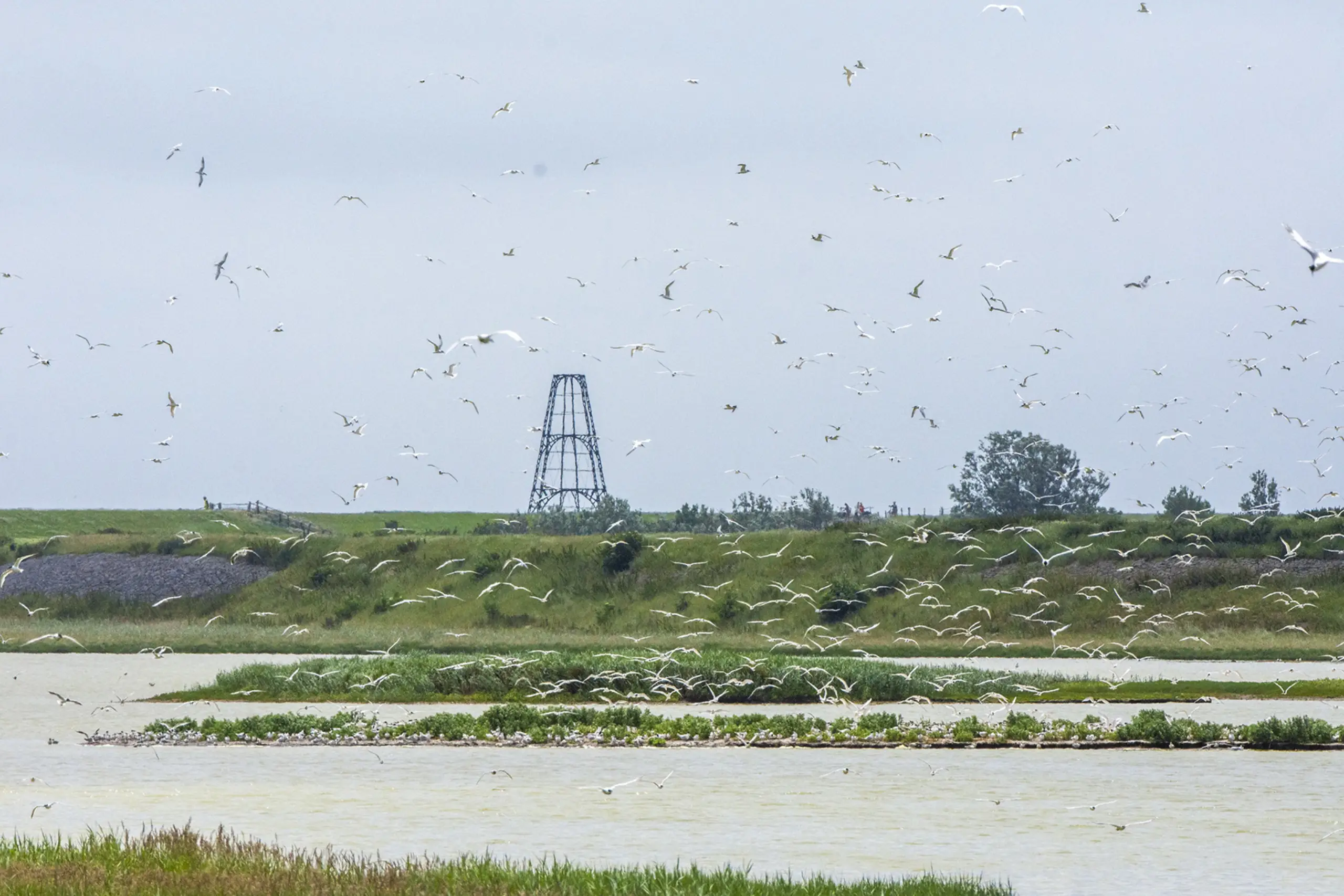 Wagejot met de IJzeren Kaap op de achtergrond