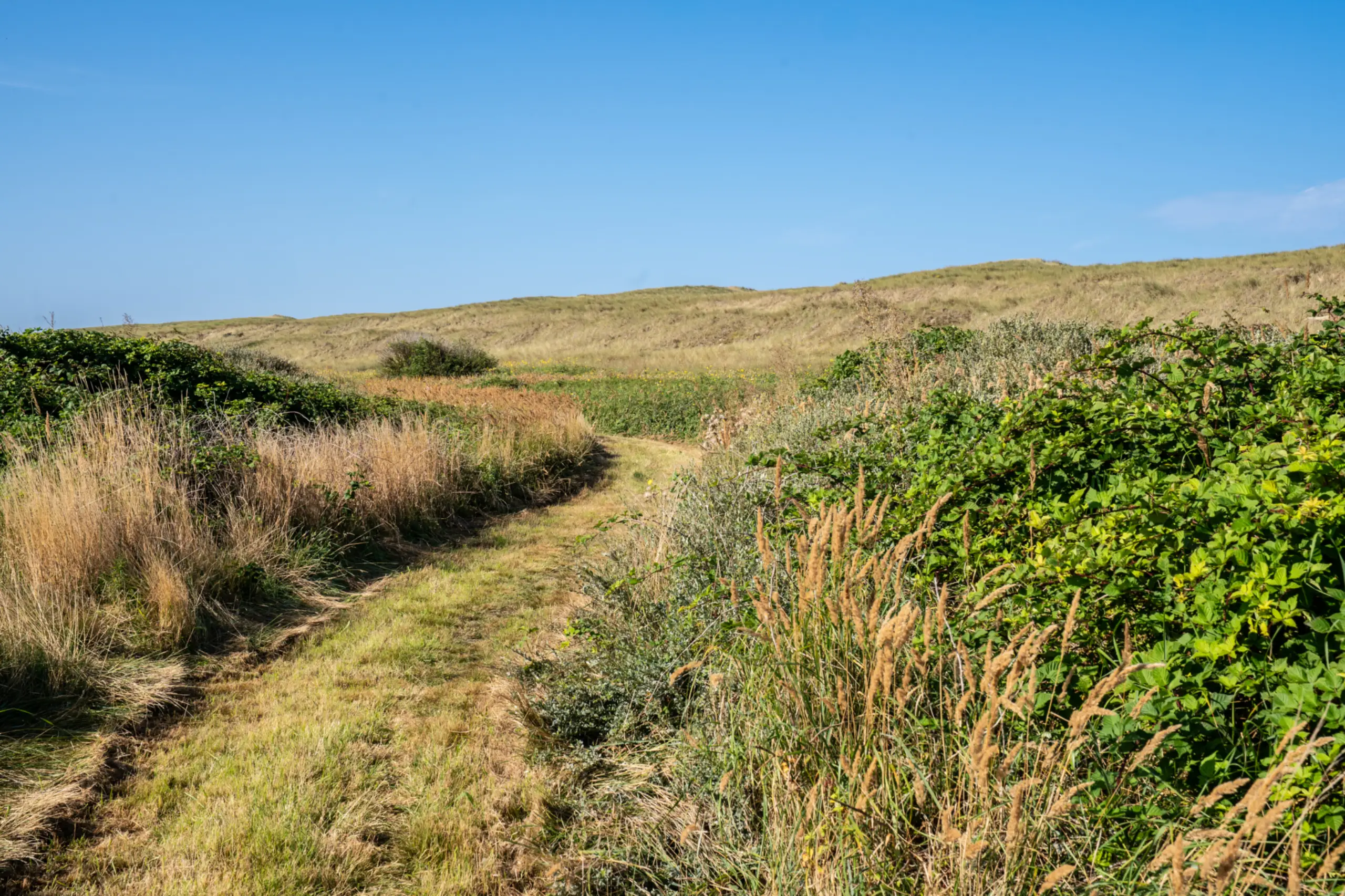 Groene route Westerduinen