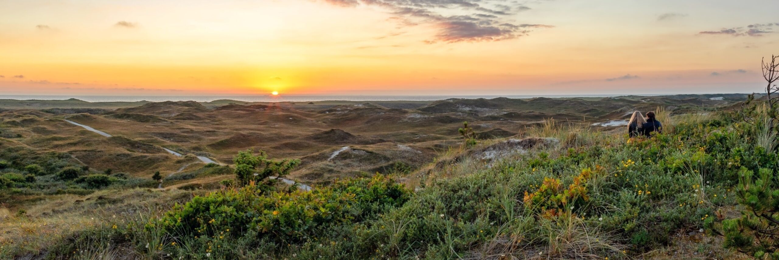 Stel in de duinen bij de zonsondergang