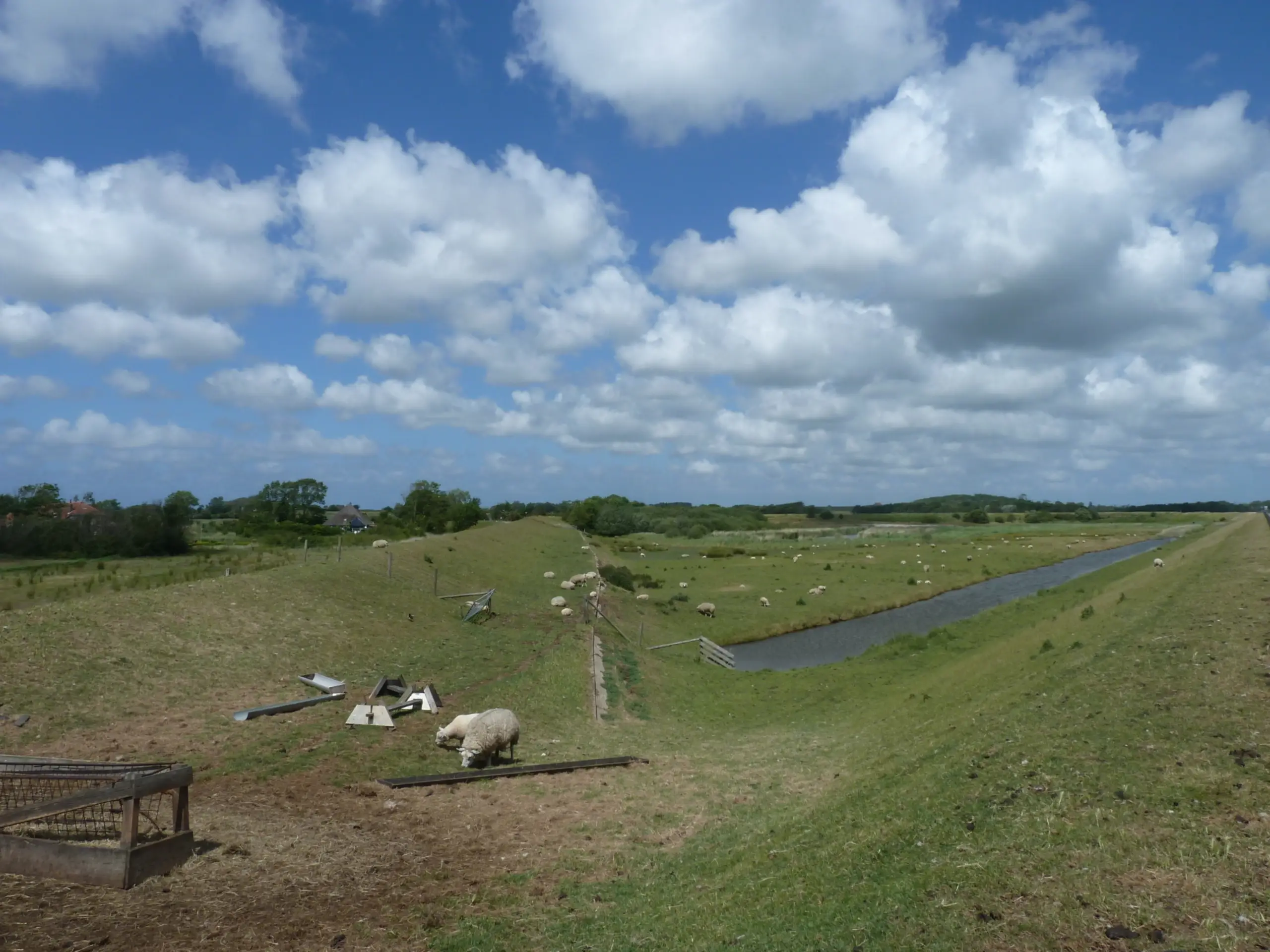 Dijk bij polder Ceres