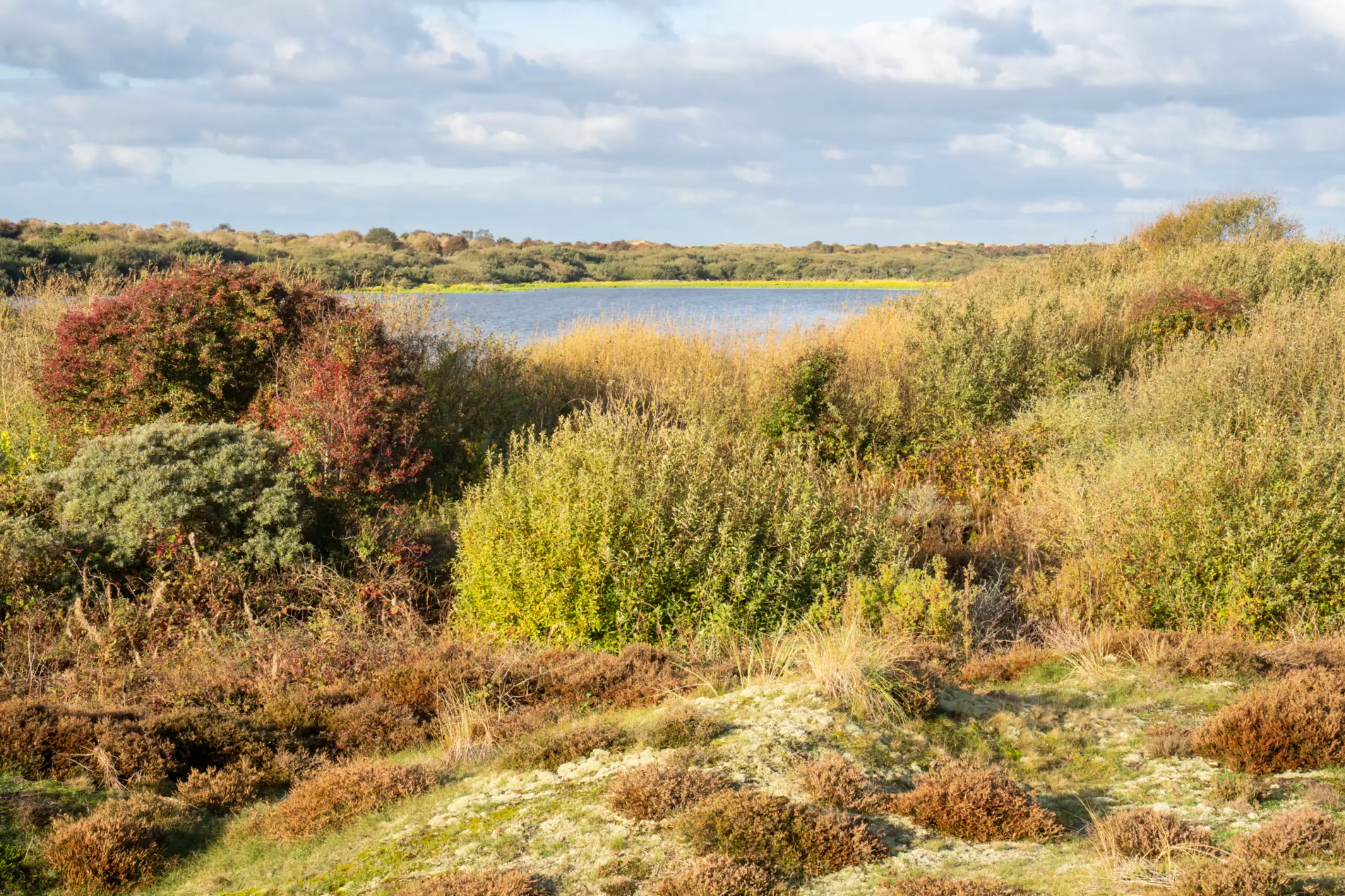 Uitkijkpunt Geulplas