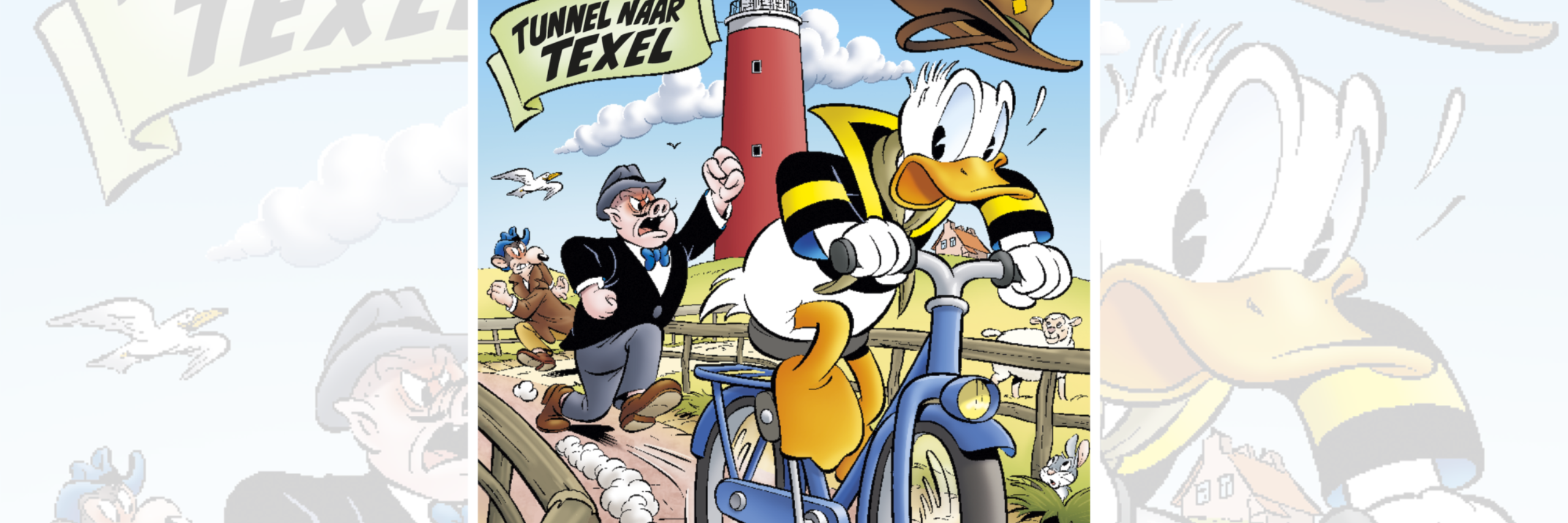 Donald Duck Texel
