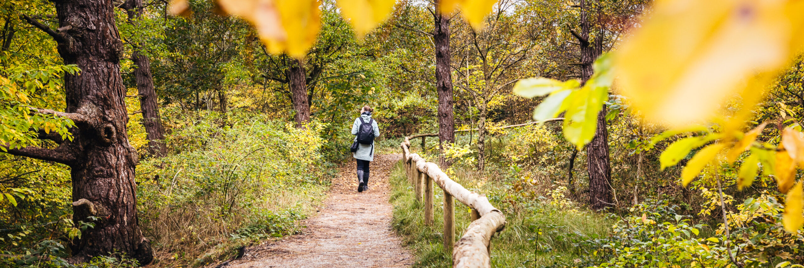 Herfst Turfveld wandelen uitkijkpunt
