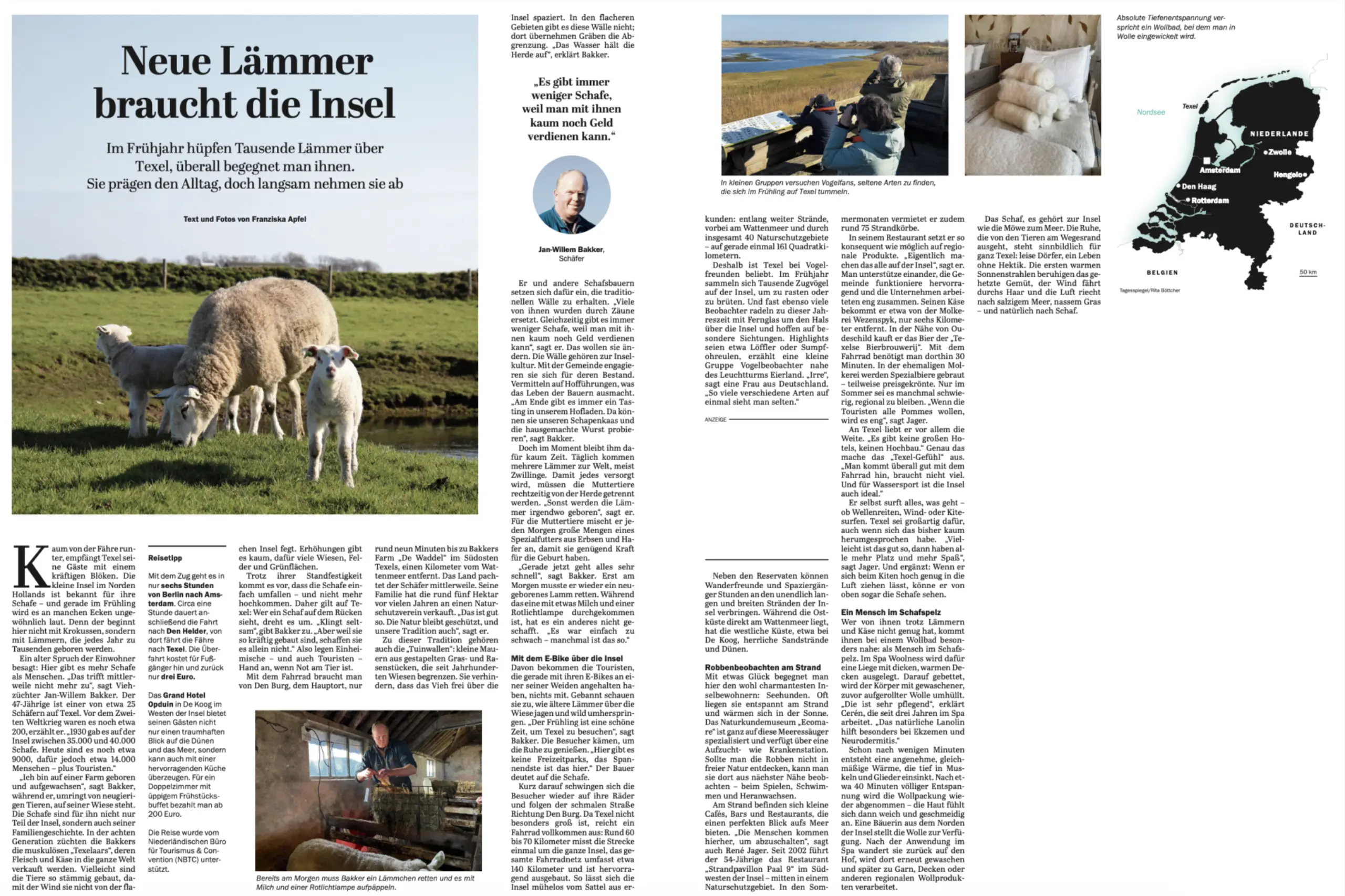 Artikel Tagesspiegel