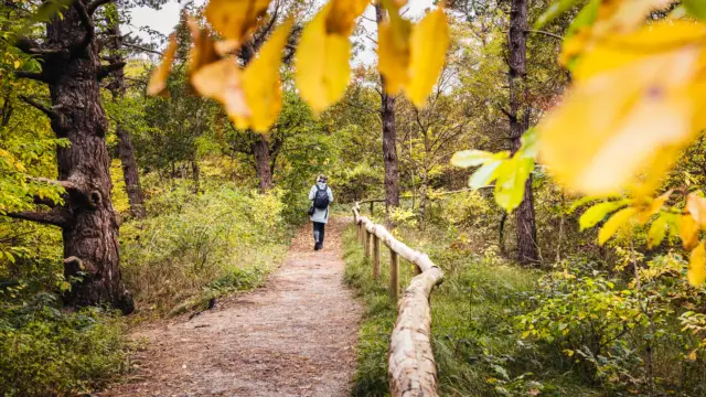 Herfst Turfveld wandelen uitkijkpunt