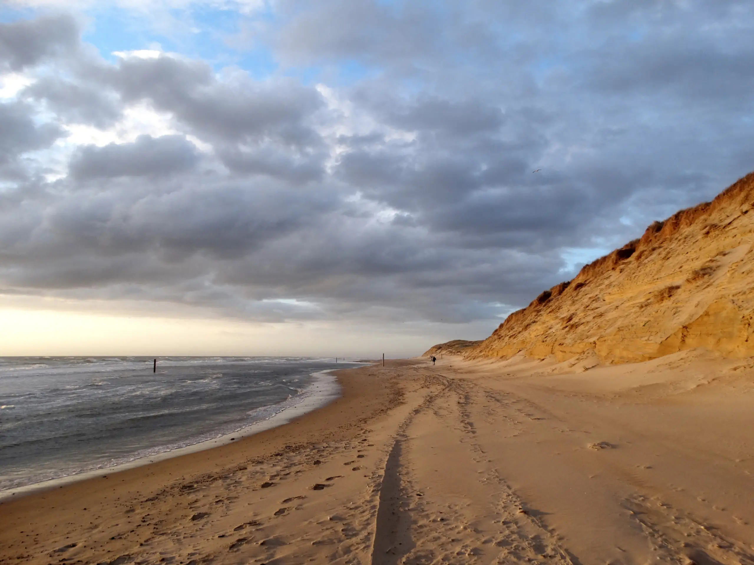 Langs de meeuwenkolonie