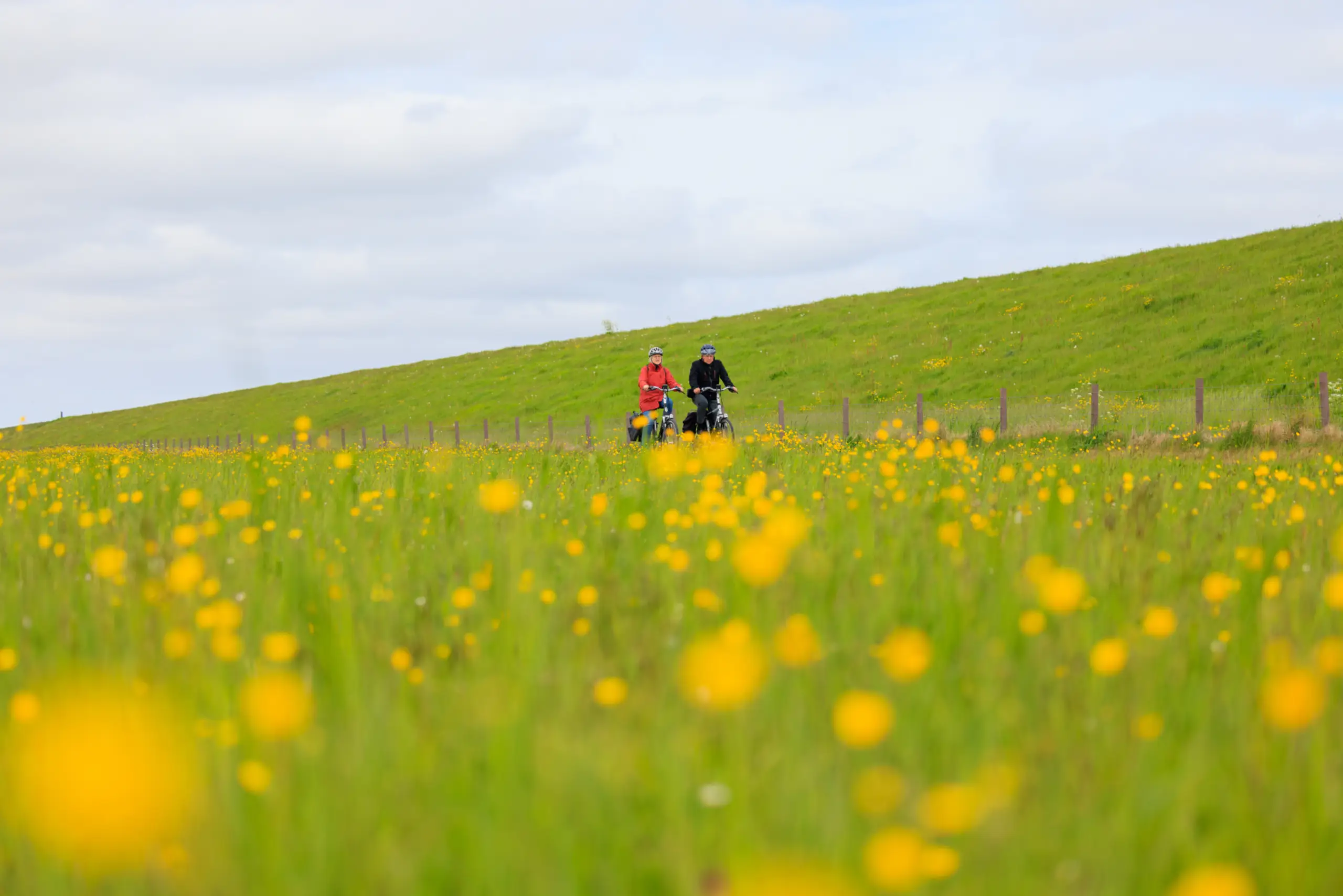 Fietsen langs de waddendijk