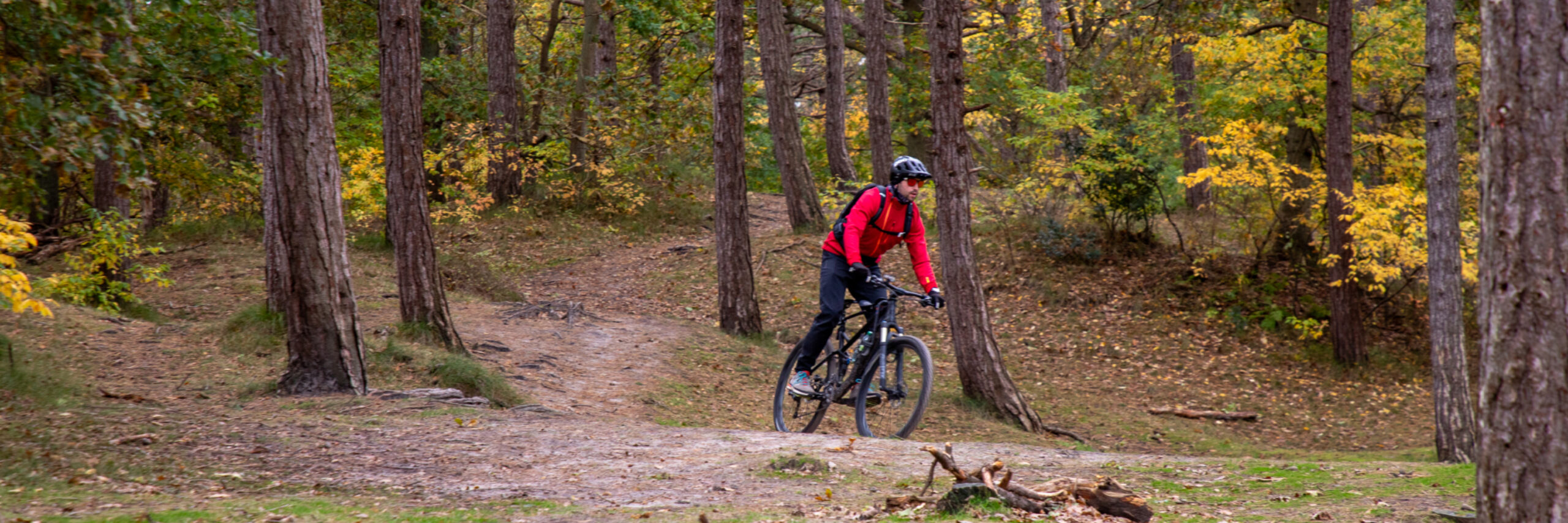 De Dennen Turfveld mountainbiker