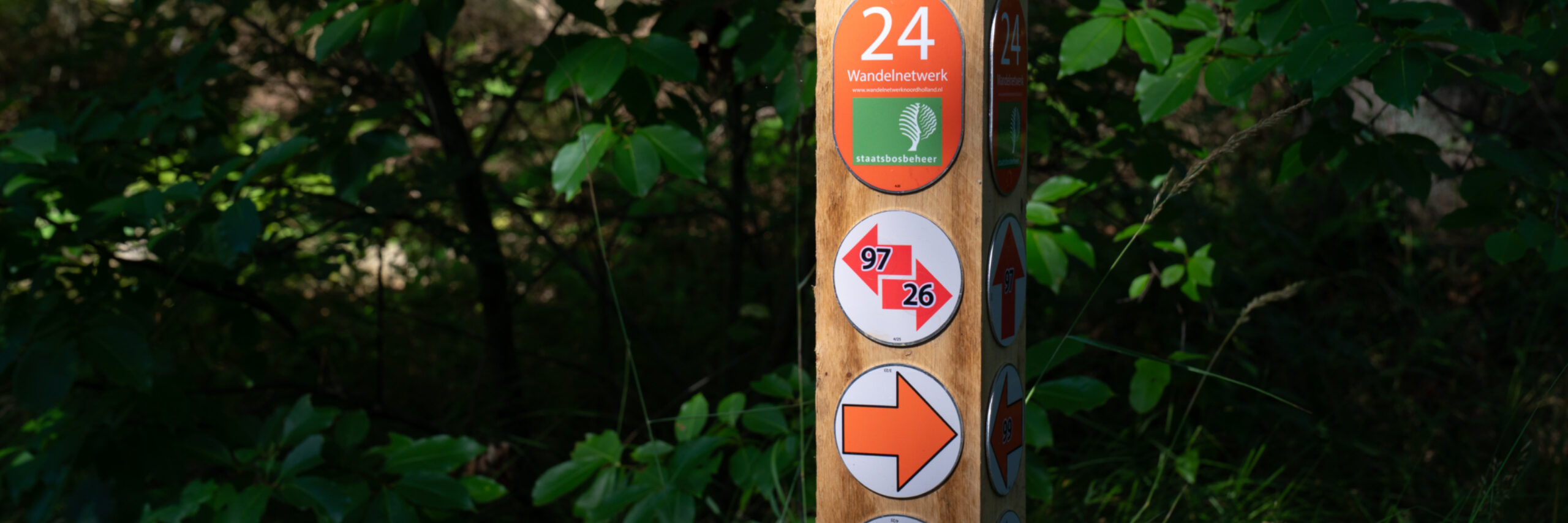 Nieuw paaltje Wandelnetwerk VVV03425