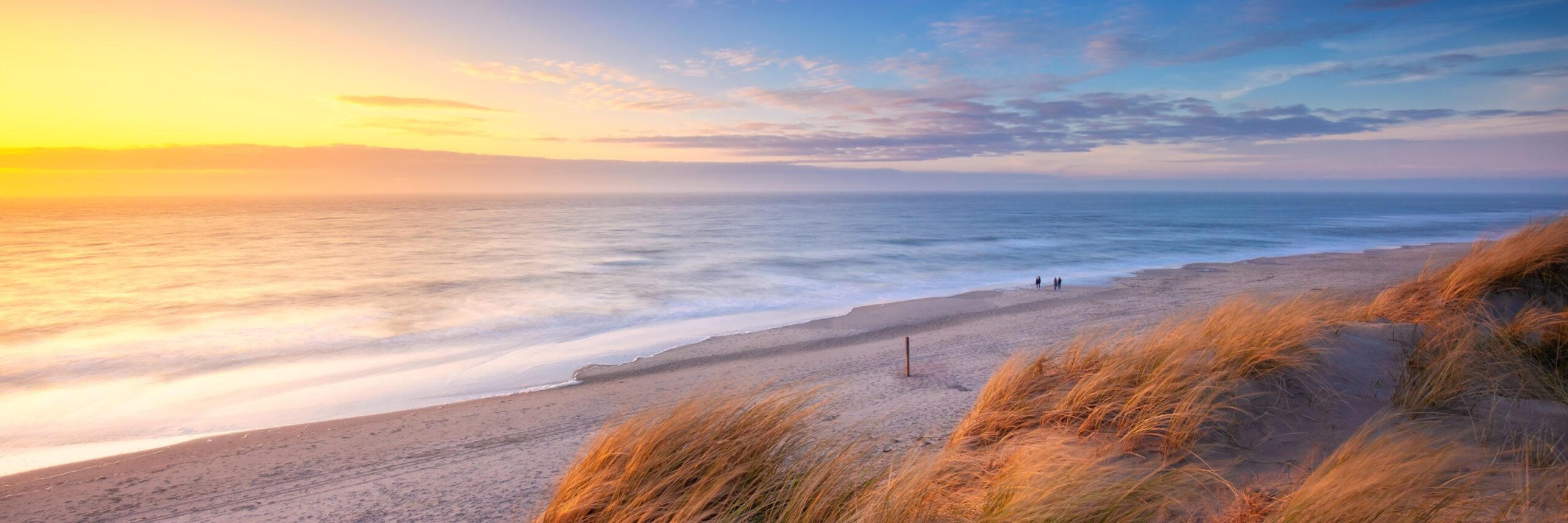 Texel Natuurlijk Gezond