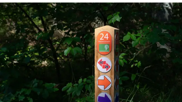 Wandelnetwerk