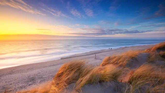 Texel Natuurlijk Gezond
