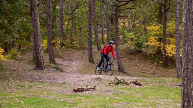 De Dennen Turfveld mountainbiker