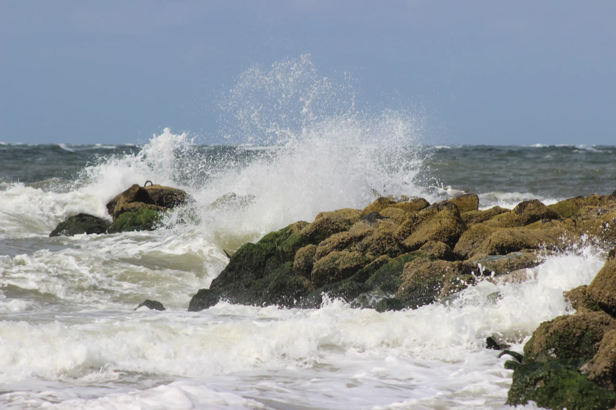 Foto van de maand augustus