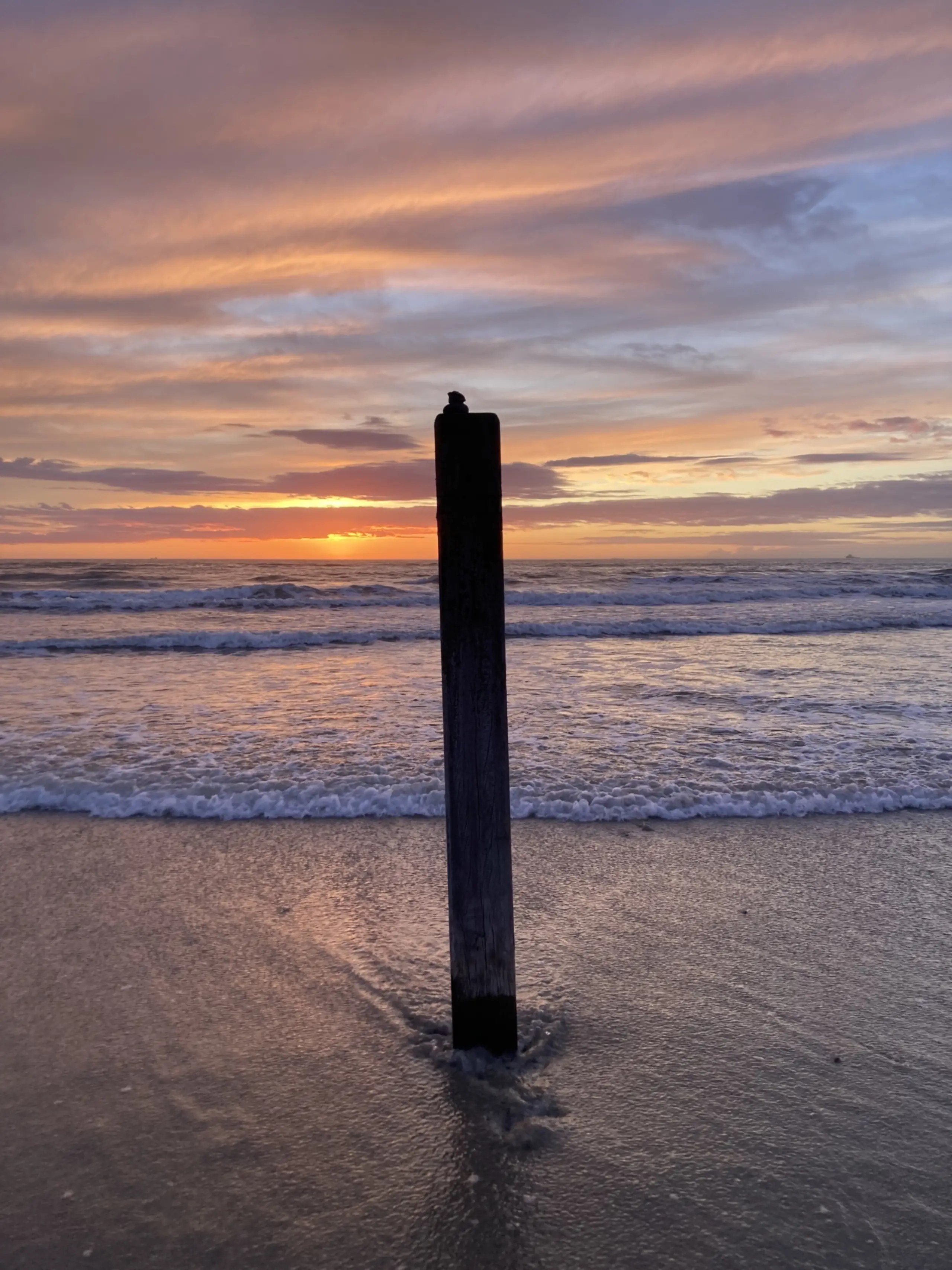 Foto van de maand februari