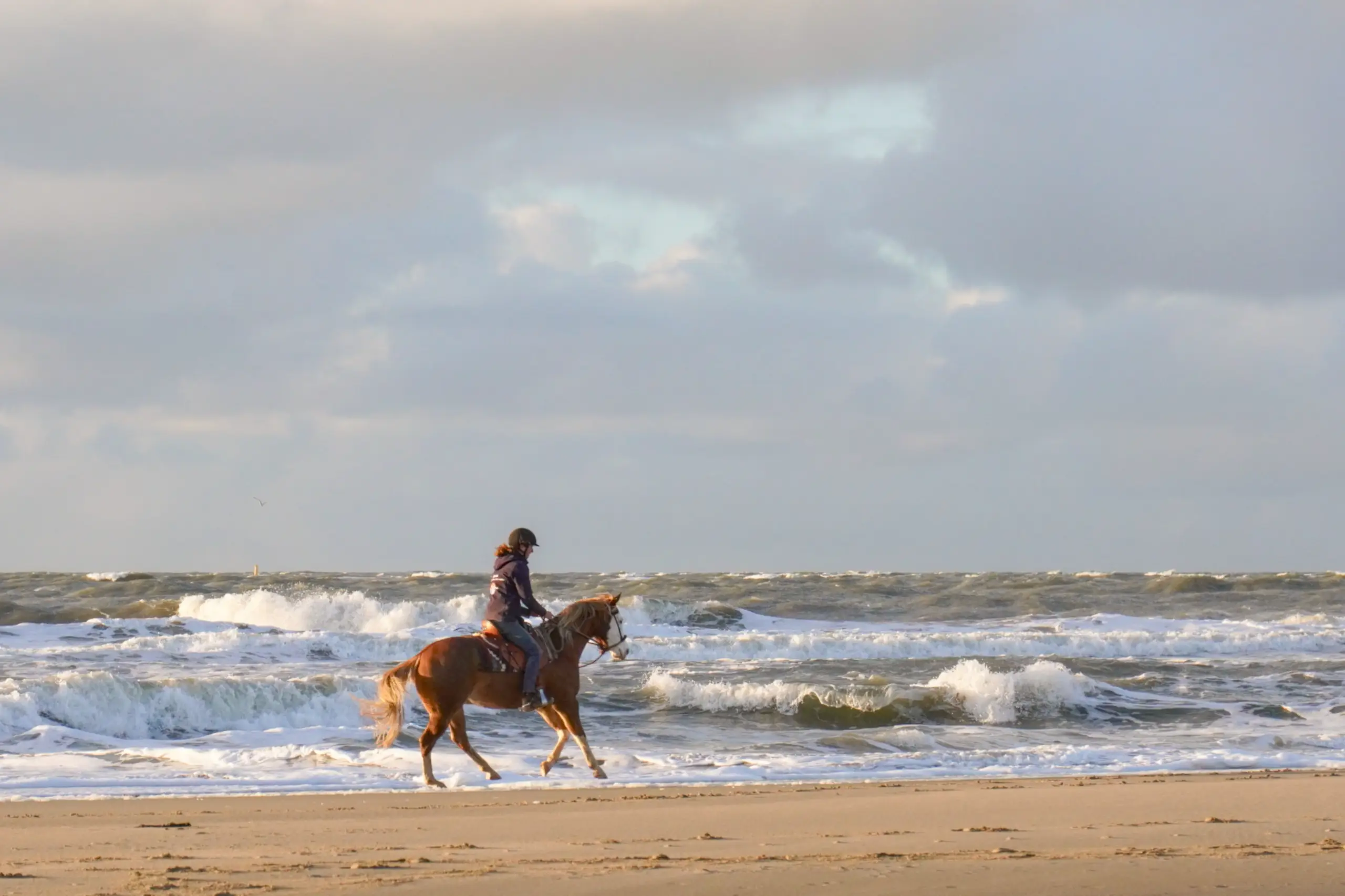 Foto van de maand januari