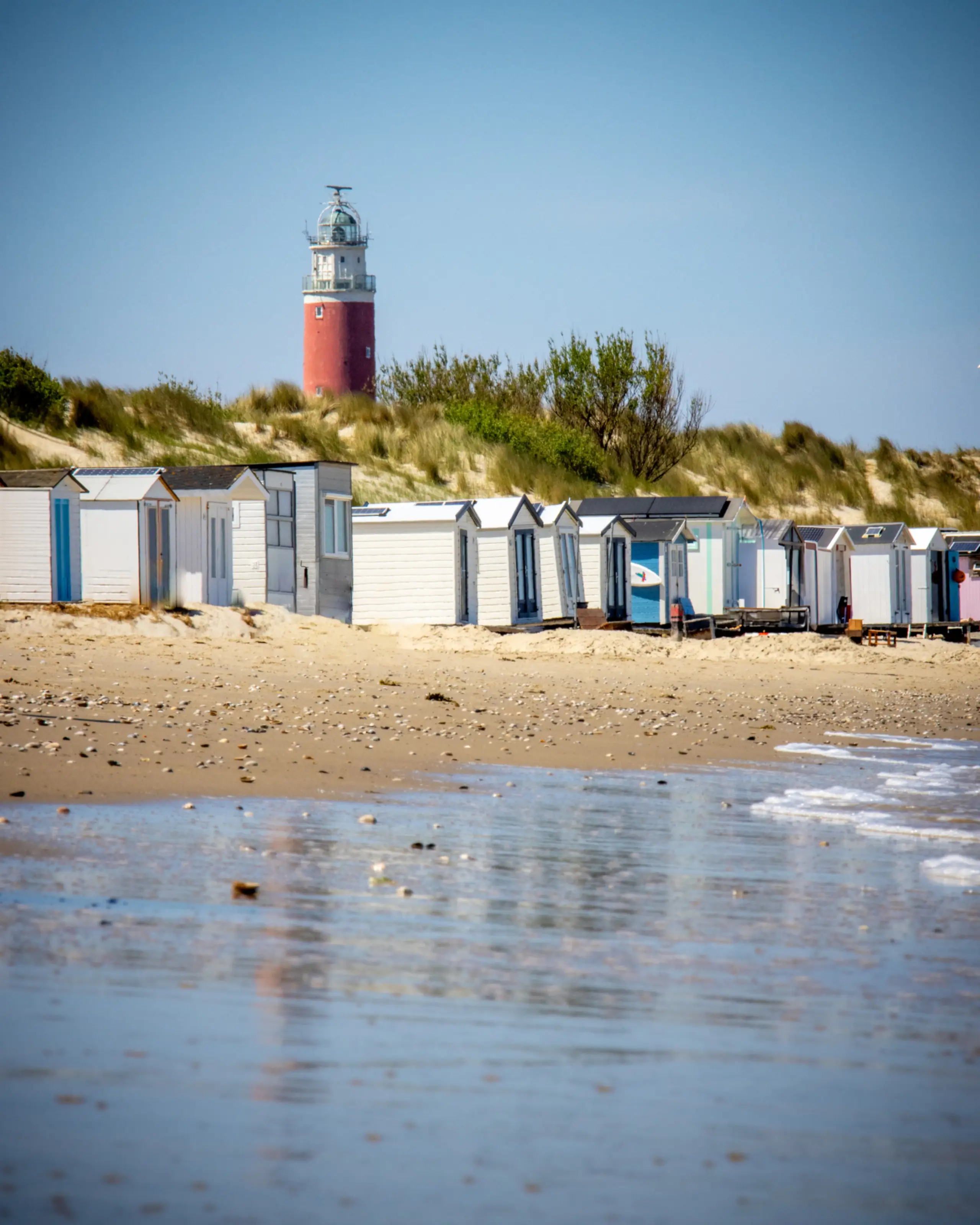 Foto van de maand juni