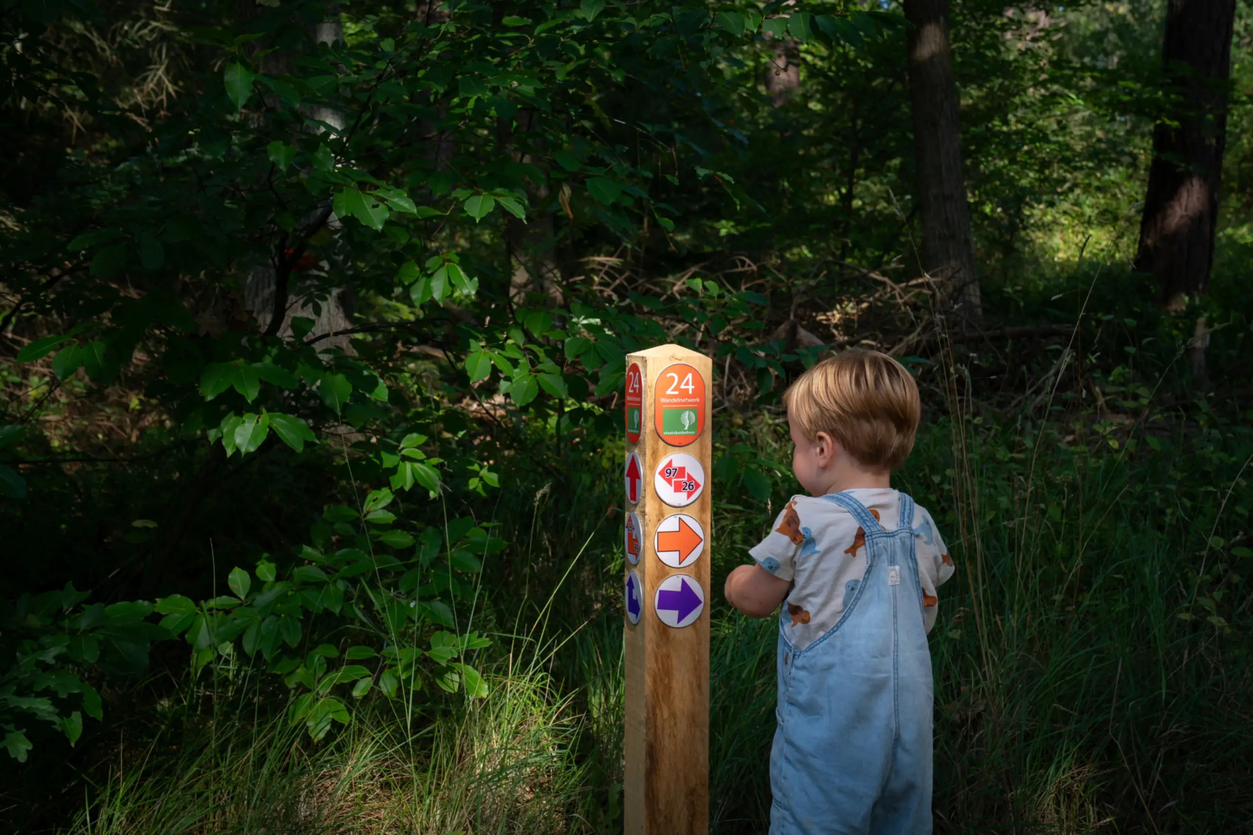 Neuer Pfosten Wanderwegenetz